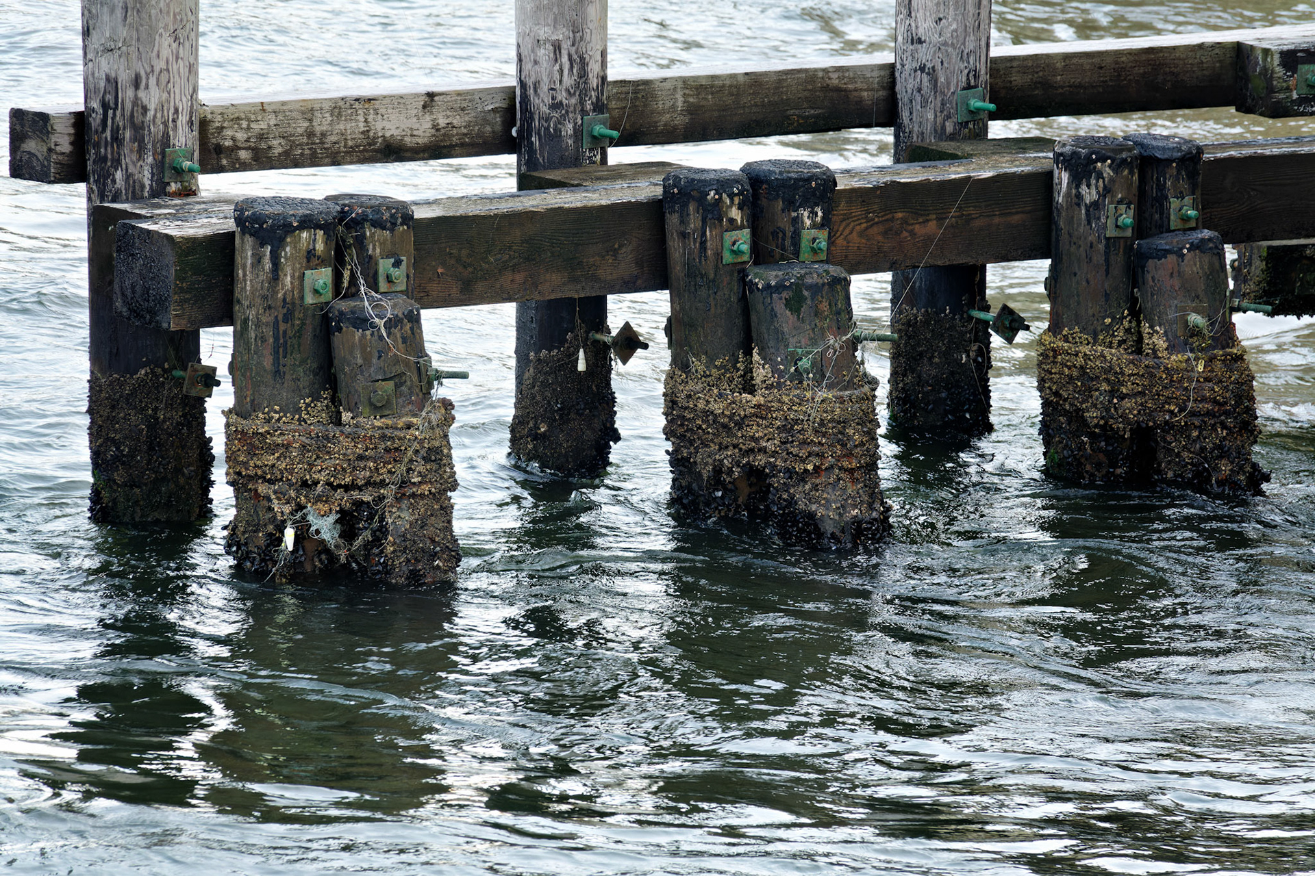 NJ_Shore_20170809_0032_PS.tif