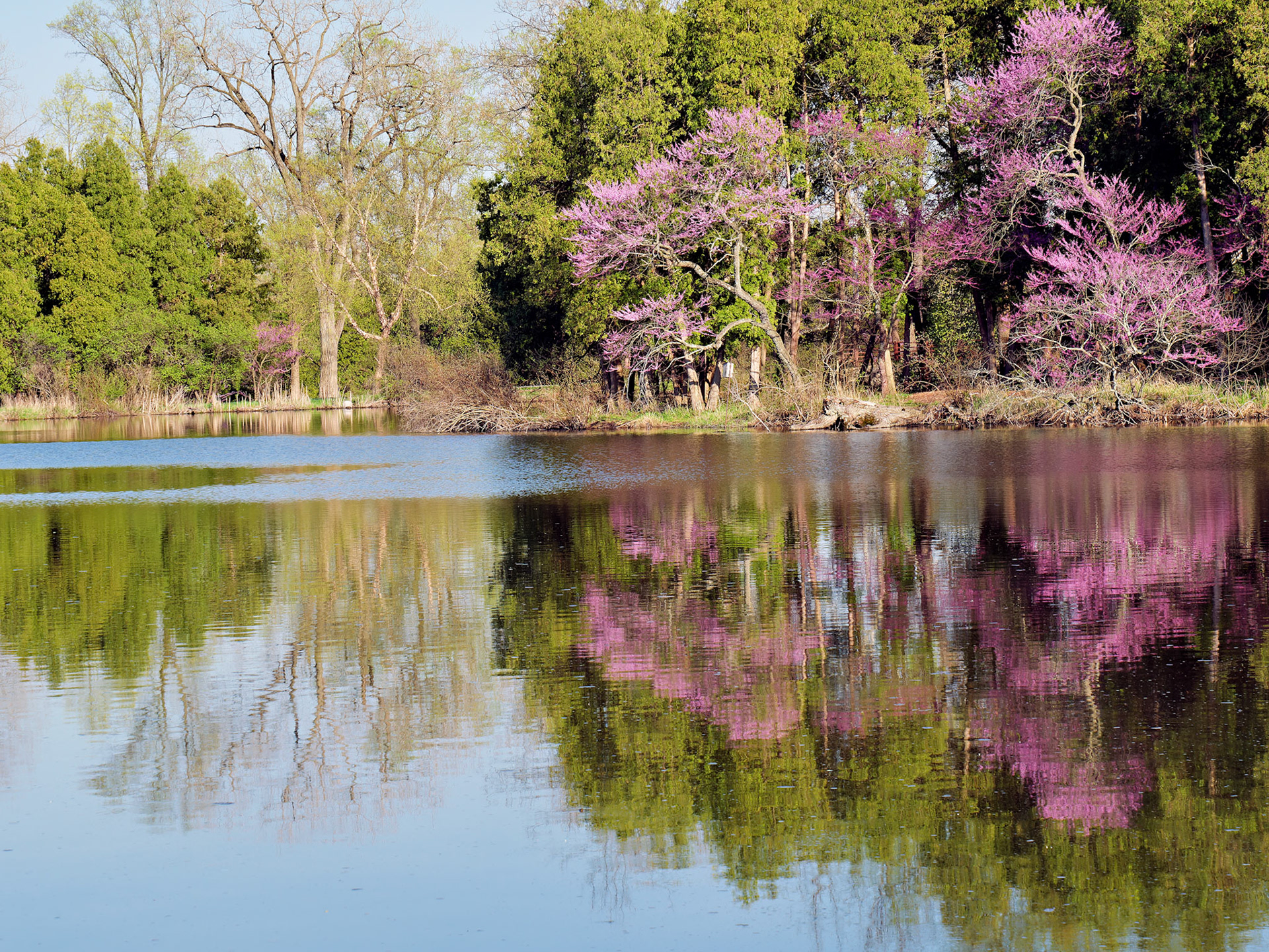 IL_Morton Arboretum_20180507_0856_PS