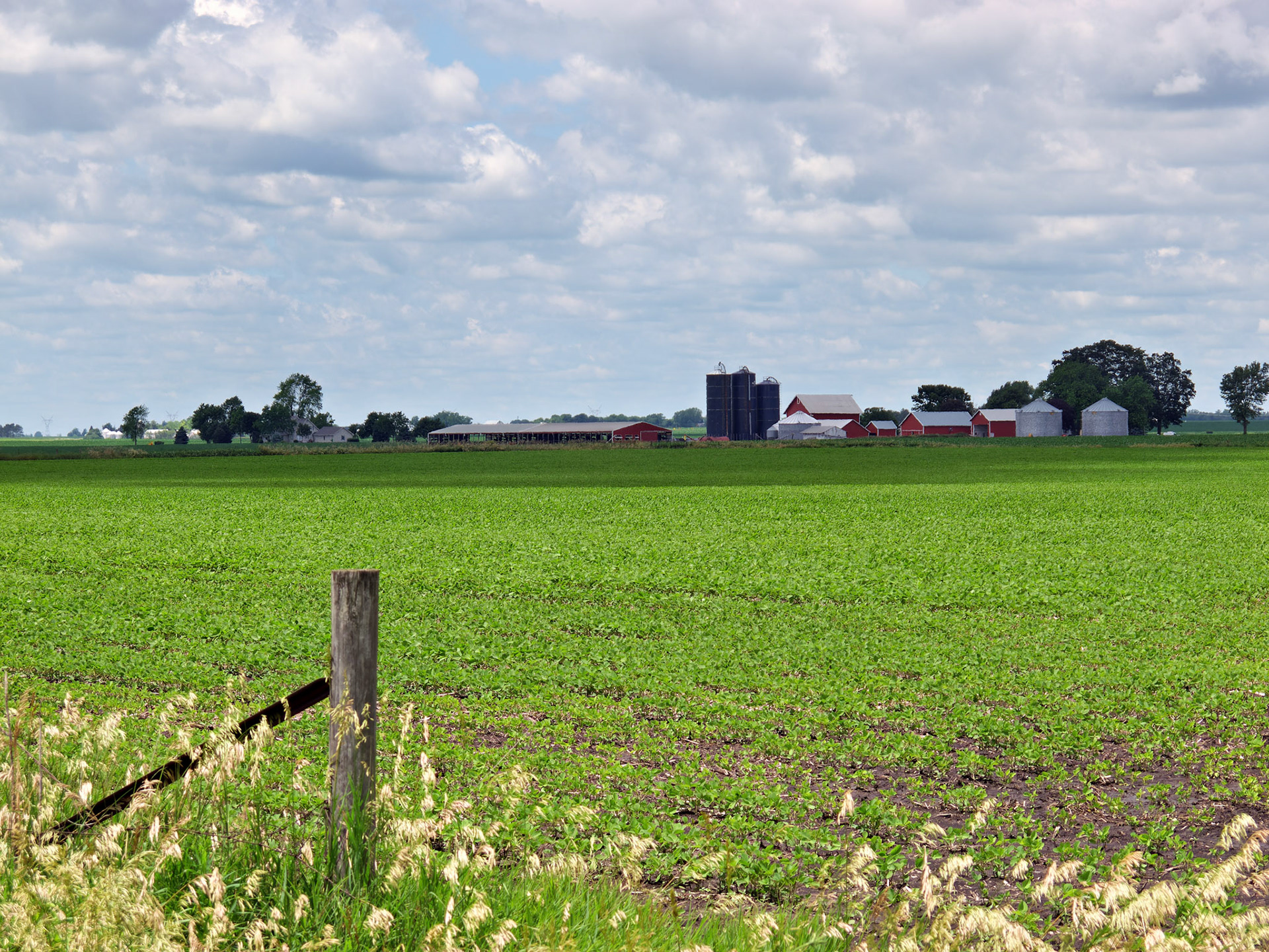 IL_20100616_0347_PS
