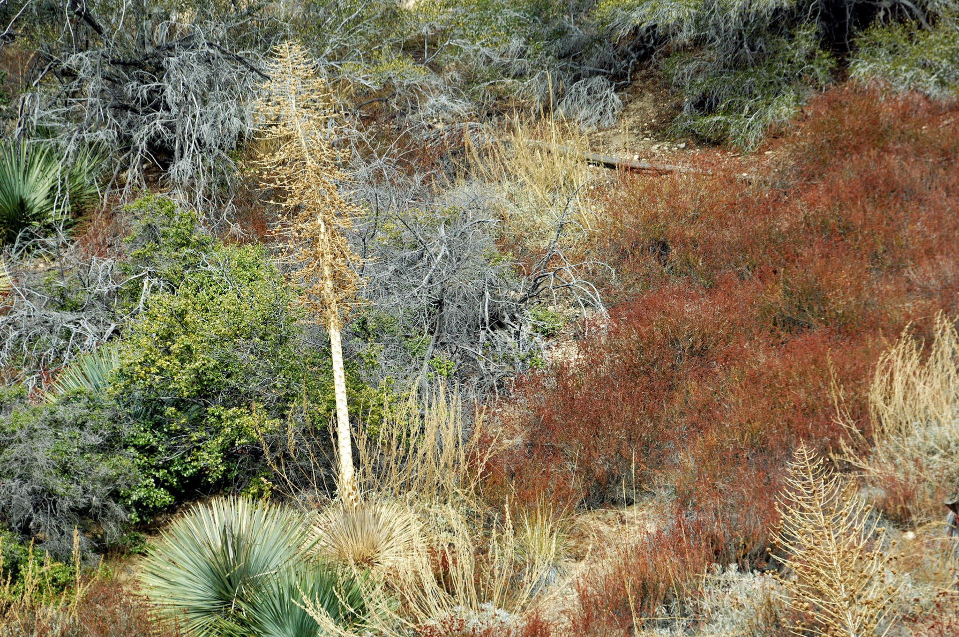 CA_LA_20051220_0269_PS