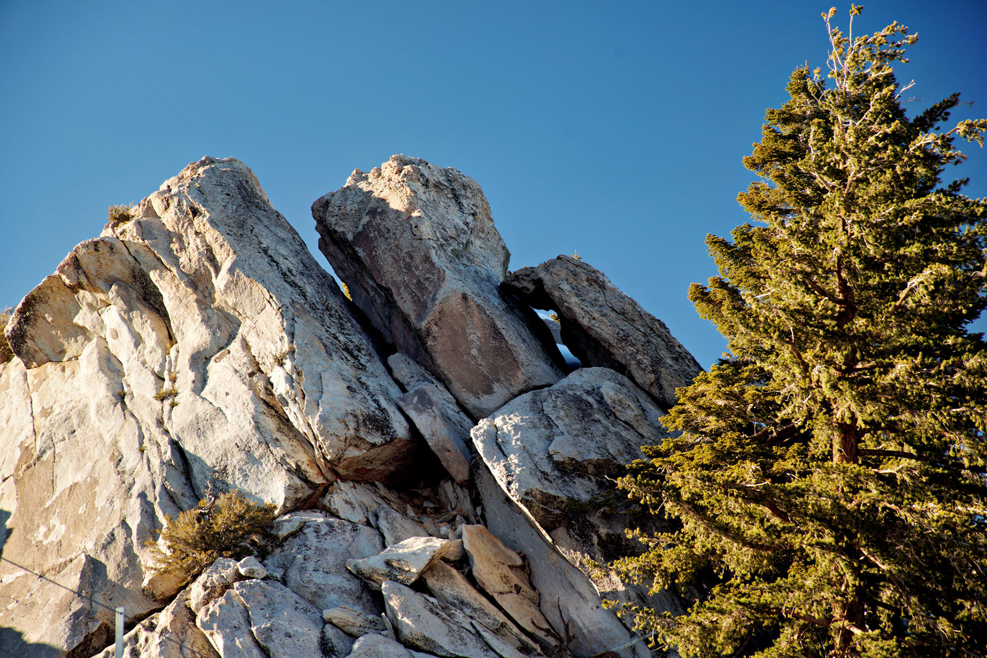CA_PalmSprings_20111115_0355_PS