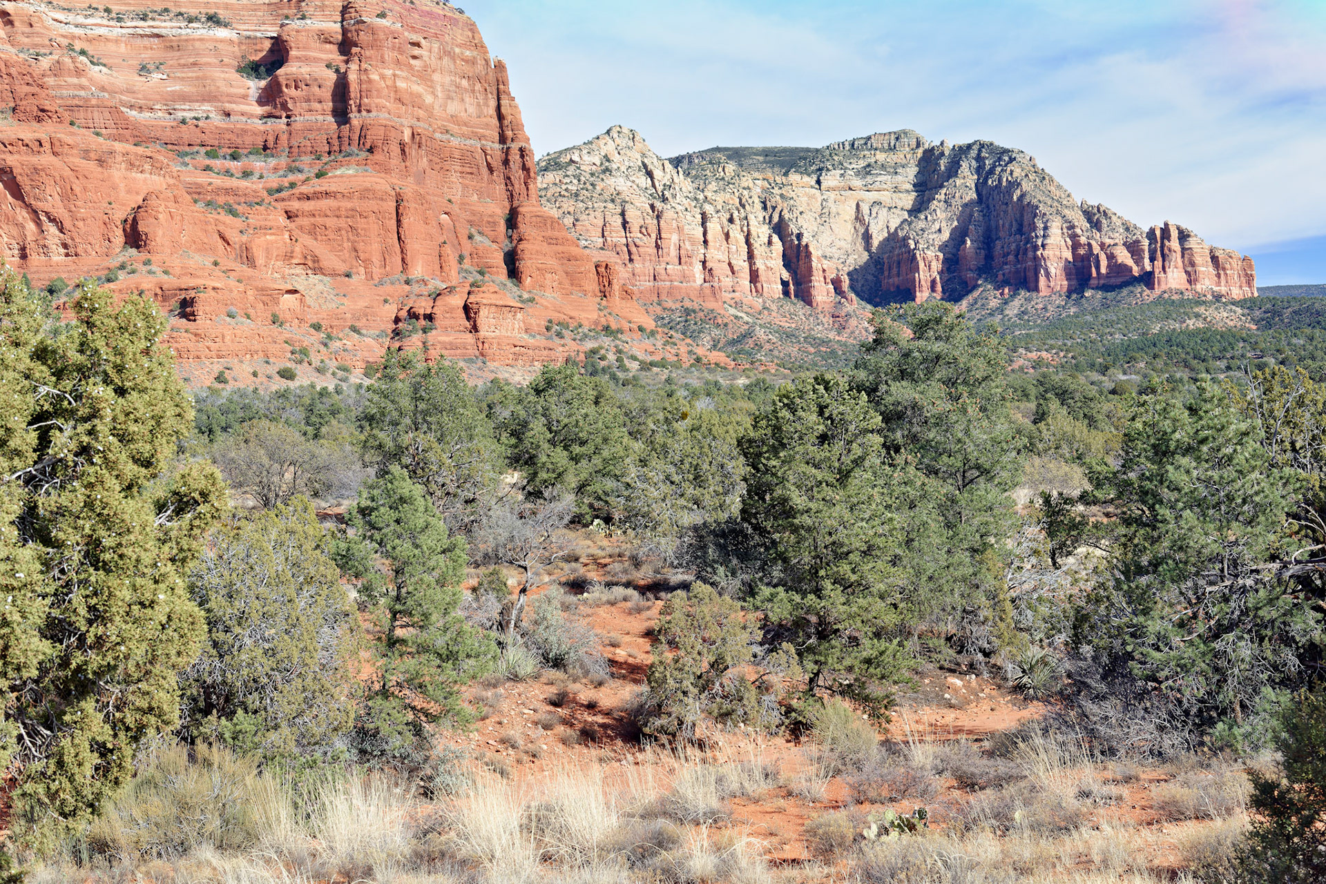 AZ_20121211_0595_PS