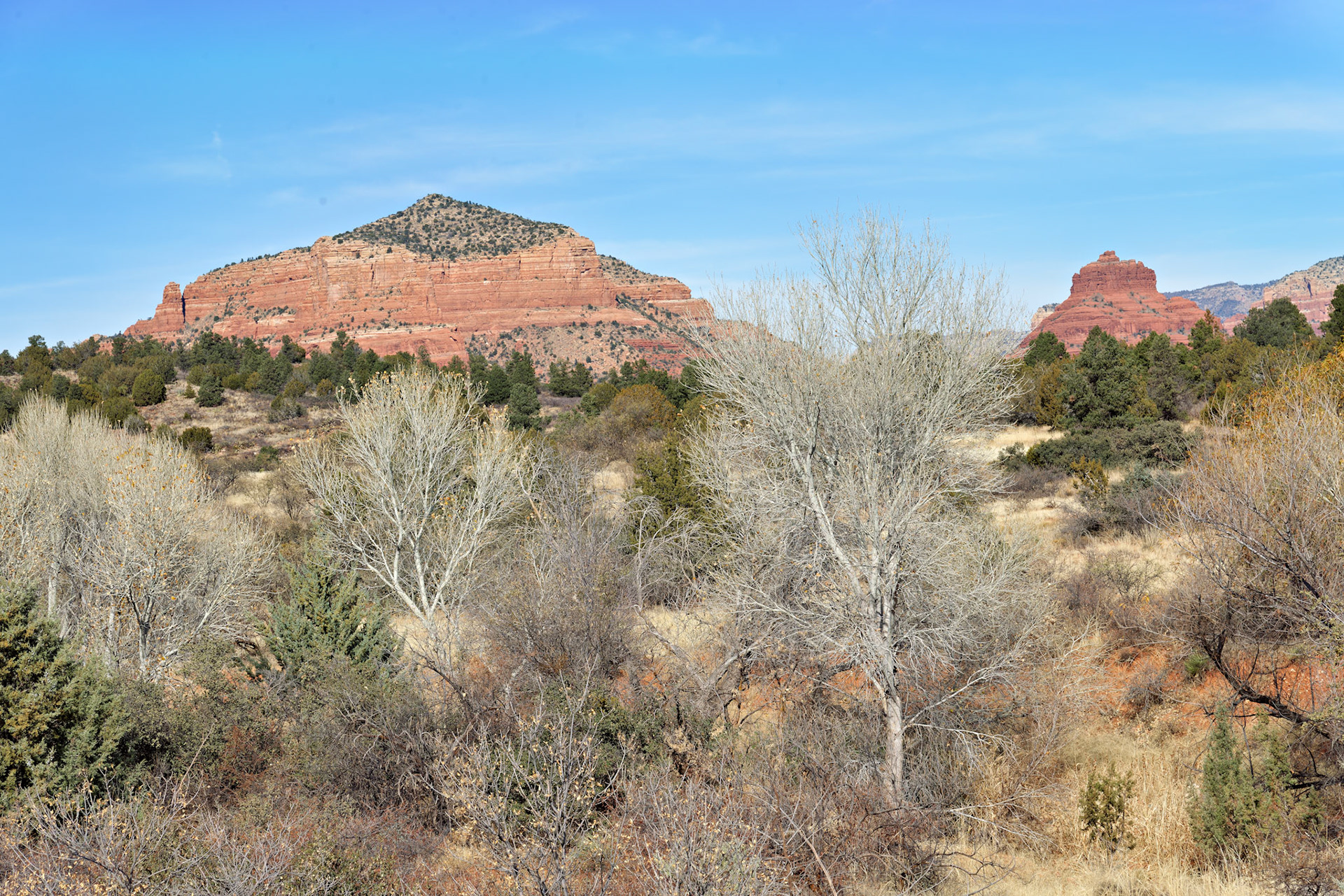 AZ_20121211_0582_PS.dng
