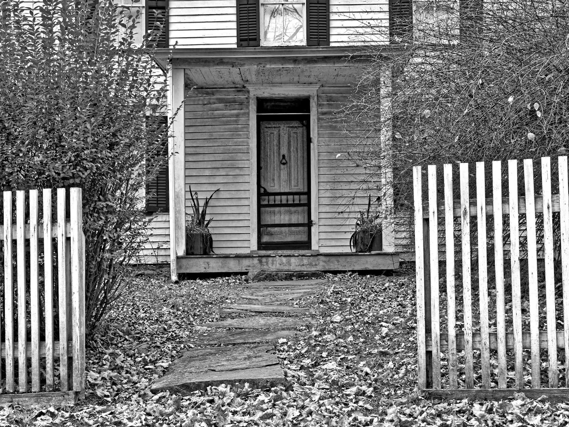 BW_20151118_1000474_DxO