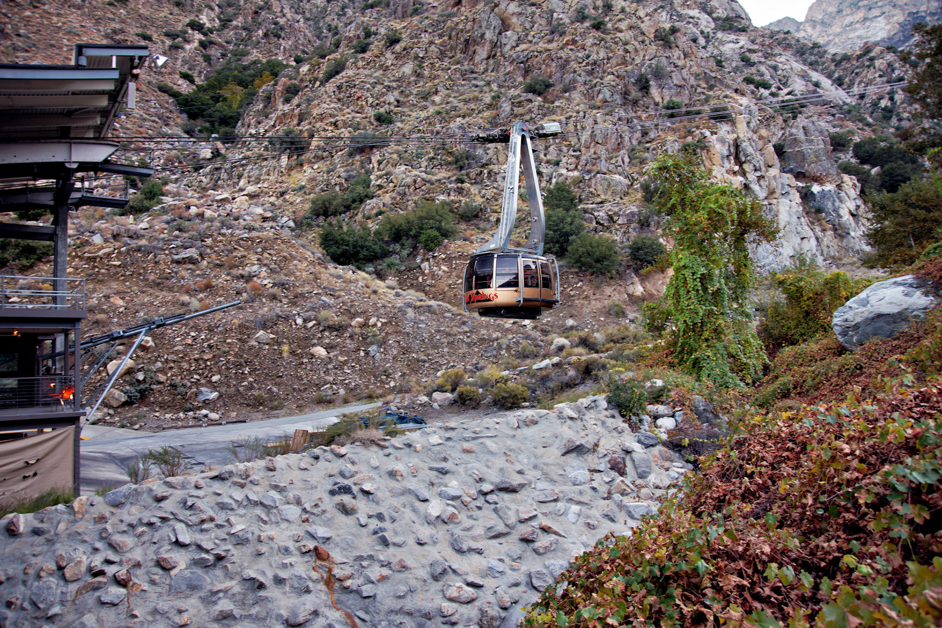 CA_PalmSprings_20111115_0407_PS