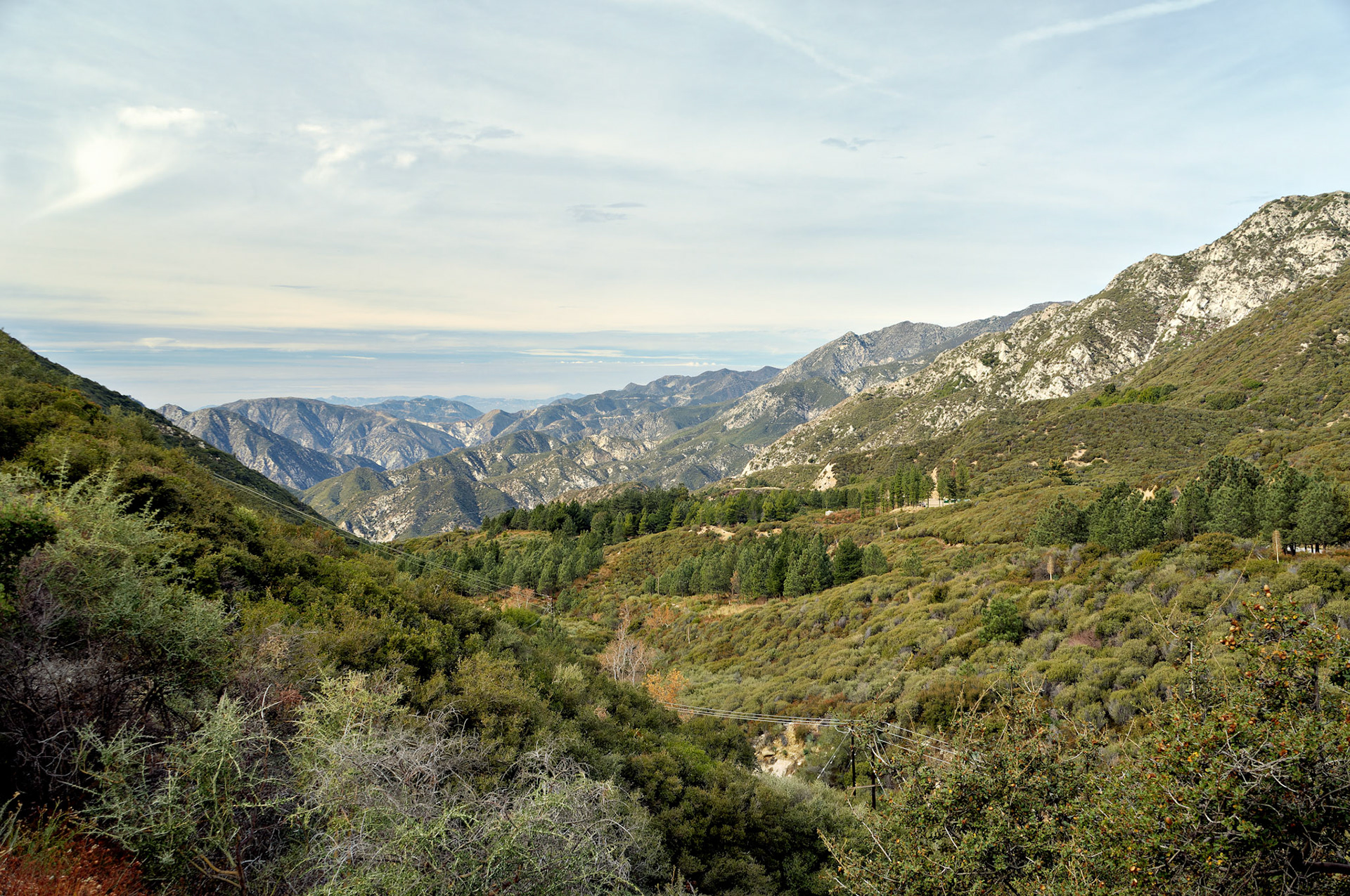 CA_LA_20051220_0271_PS