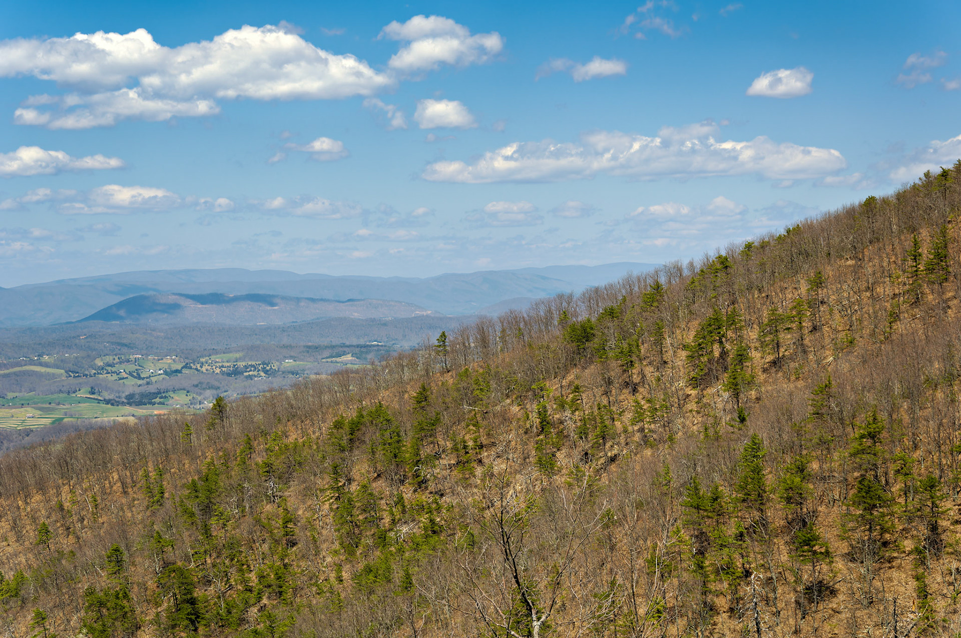 VA_BlueRidge_20060405_0080_PS