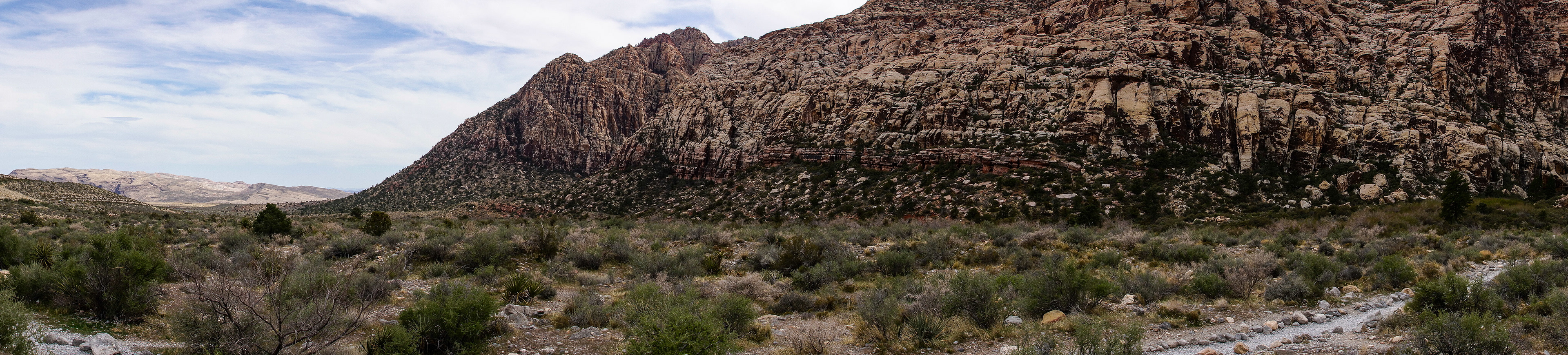 NV_Deserts_20120312_0087_PS.dng