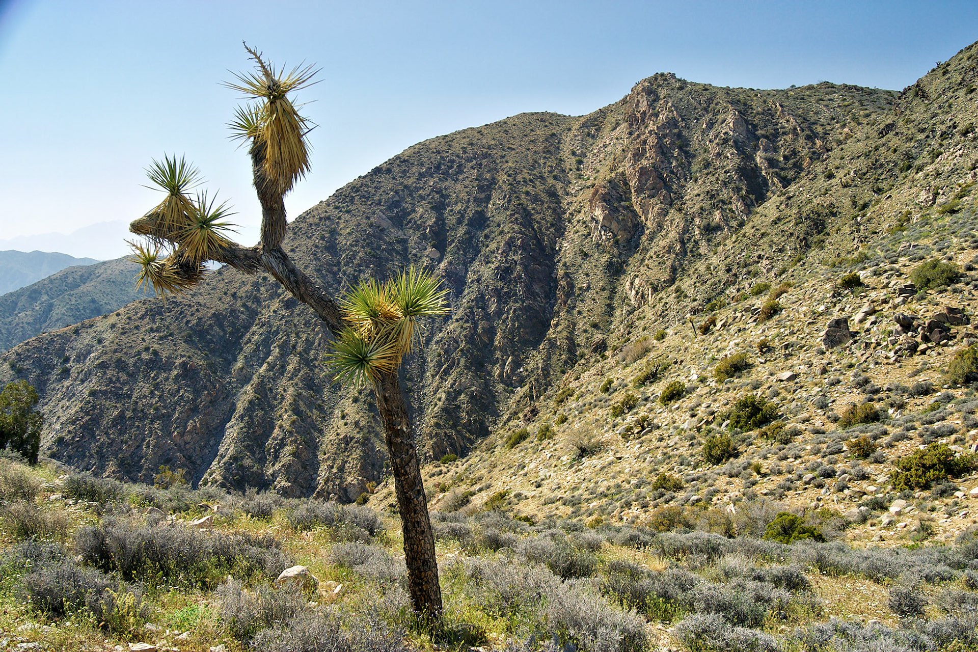 CA_LA_20030514_0067_PS
