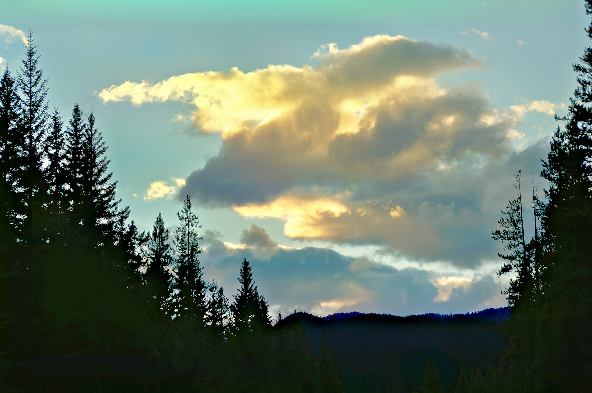 CN_20060731_0456_PS