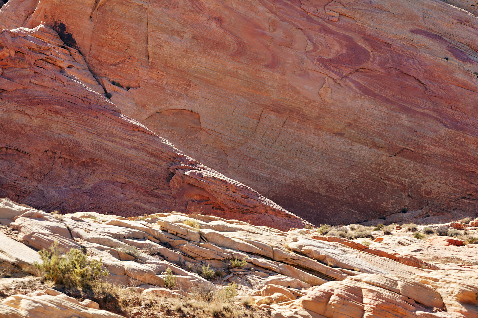 NV_Deserts_20120313_0182_PS