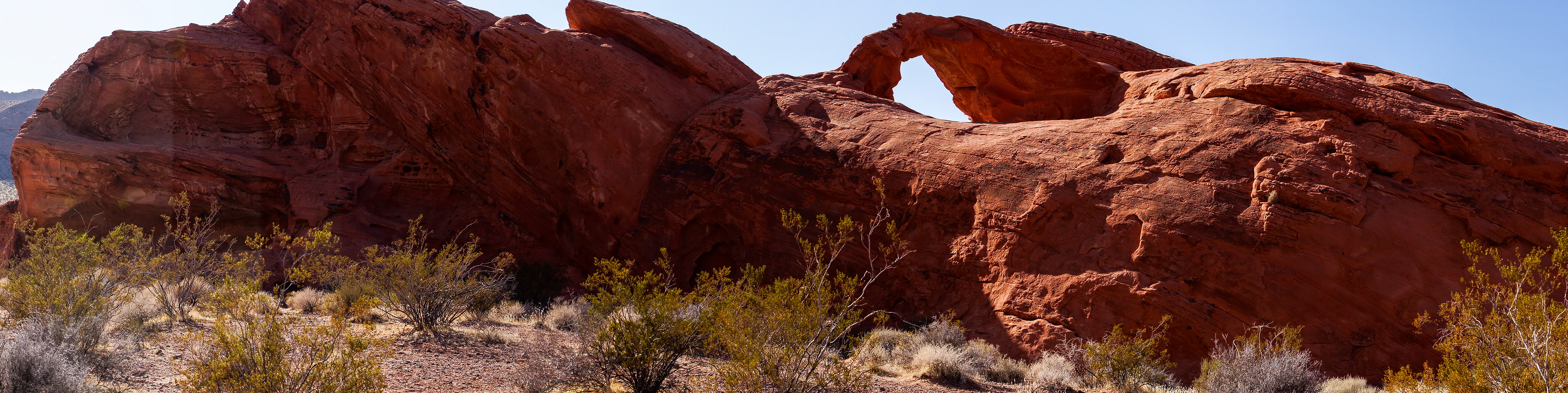 NV_Deserts_20120313_0232_PS