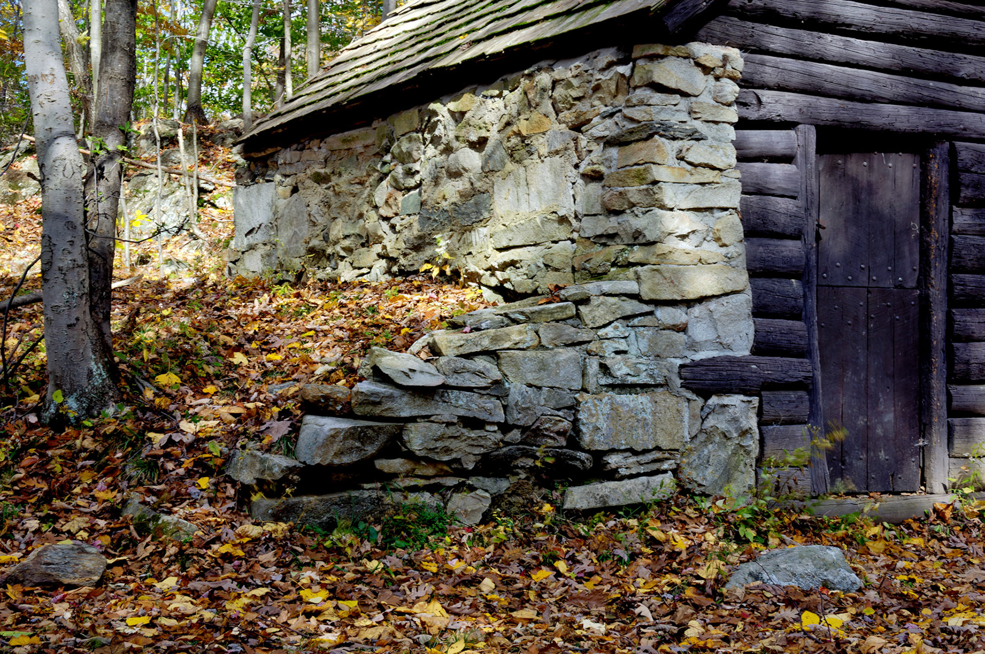 CT_20061021_0222_PS