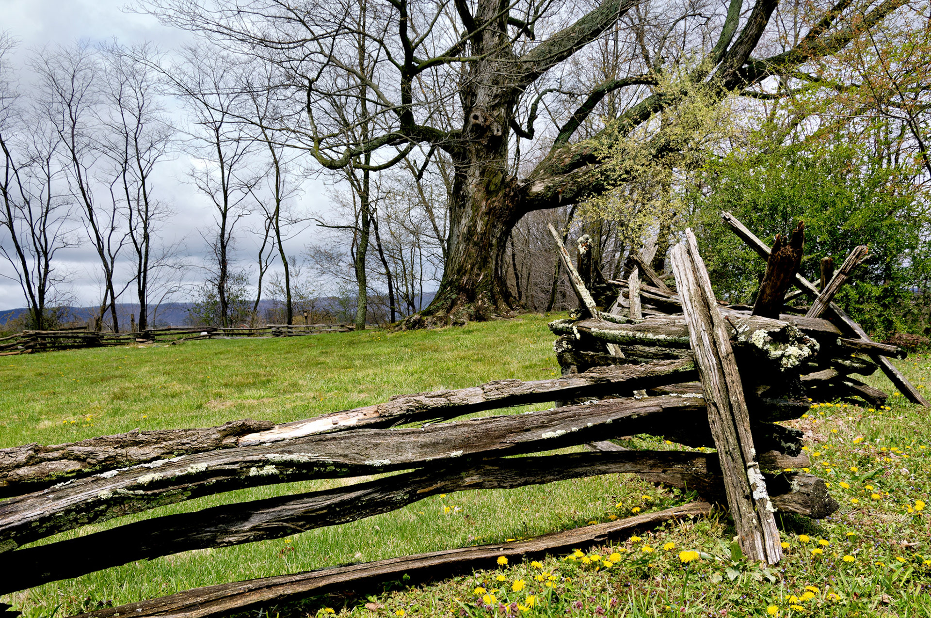 VA_BlueRidge_20070415_0132_PS