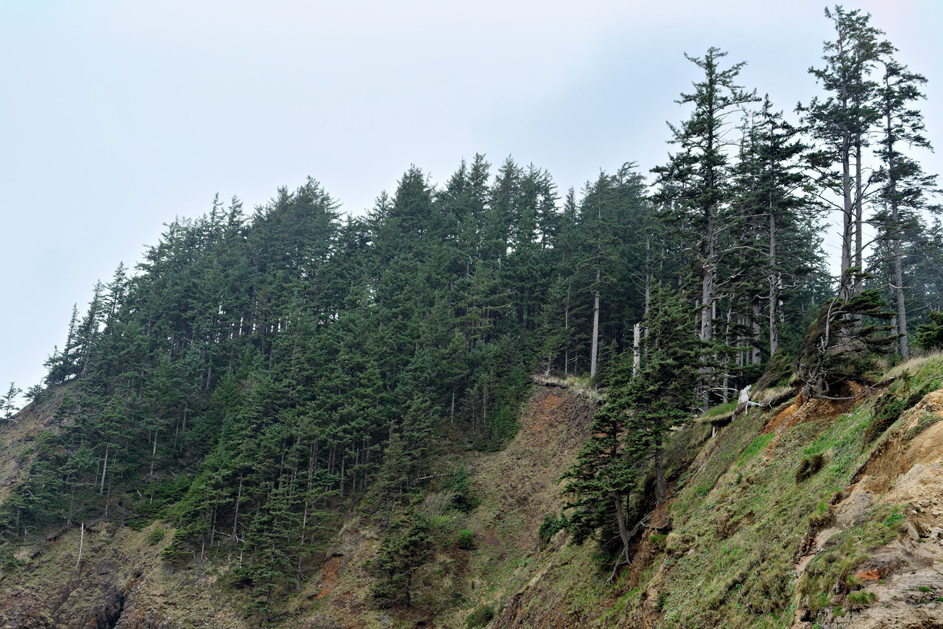OR_Coast_20130418_0081_PS