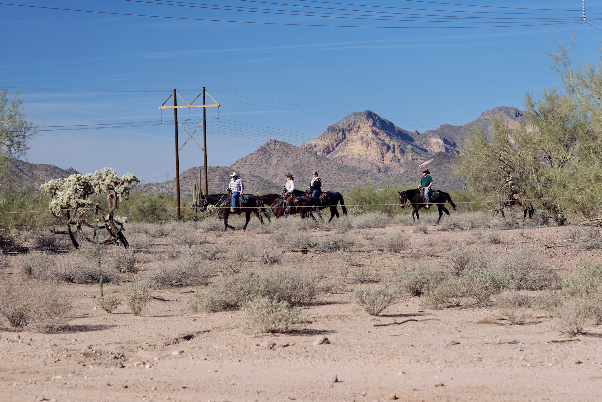 AZ_20121209_0302_PS.dng