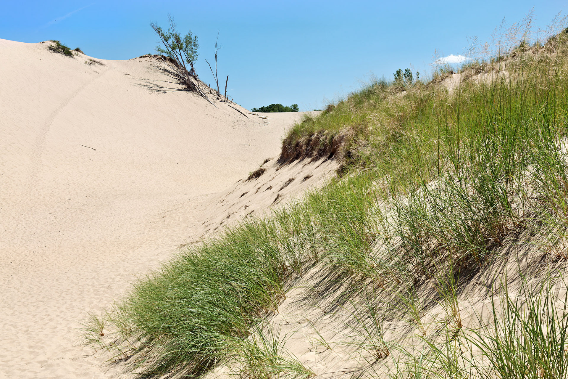 MI_New BuffaloArea_20160808_0136_PS