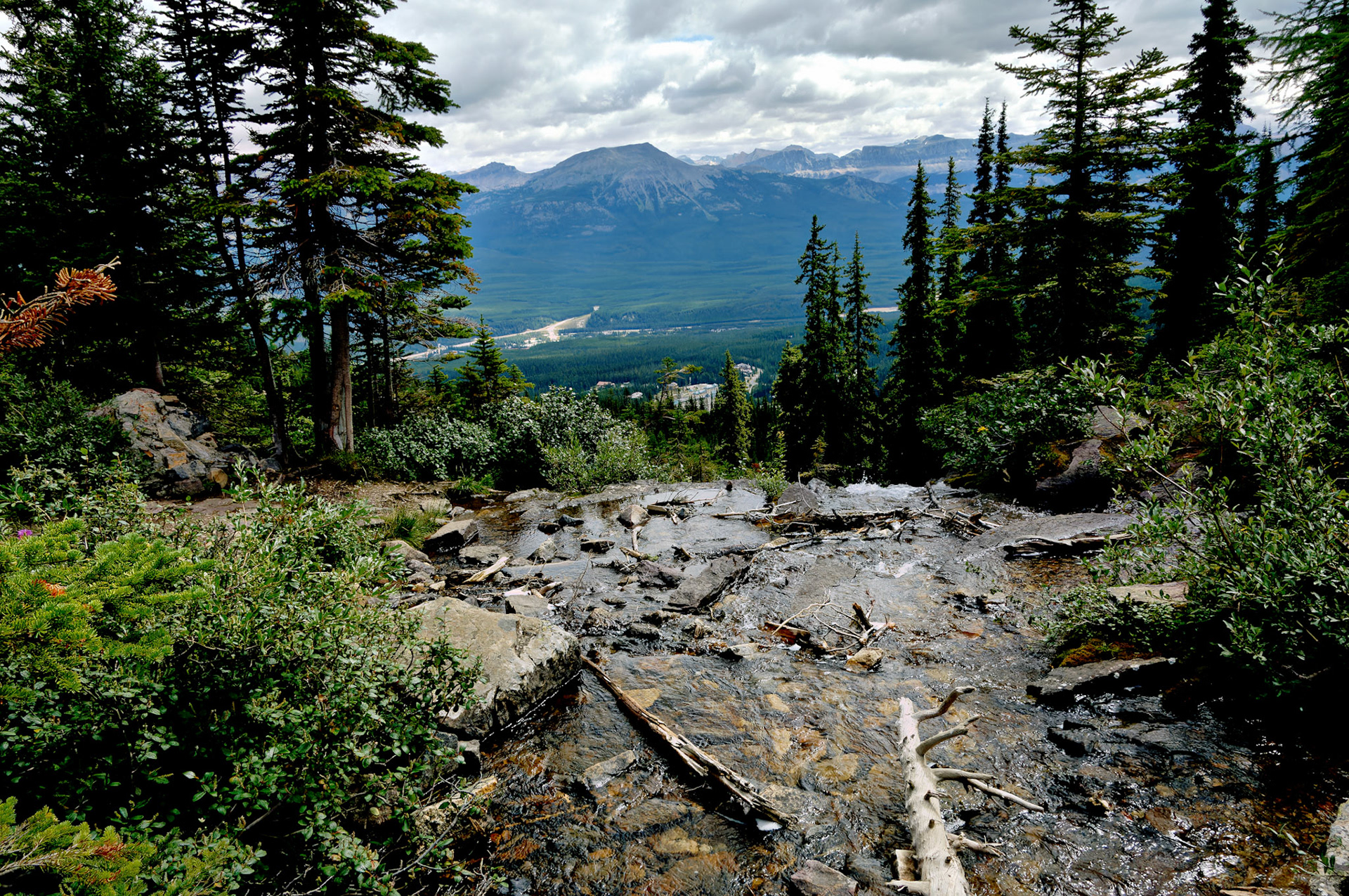 CN_20060801_0058_PS