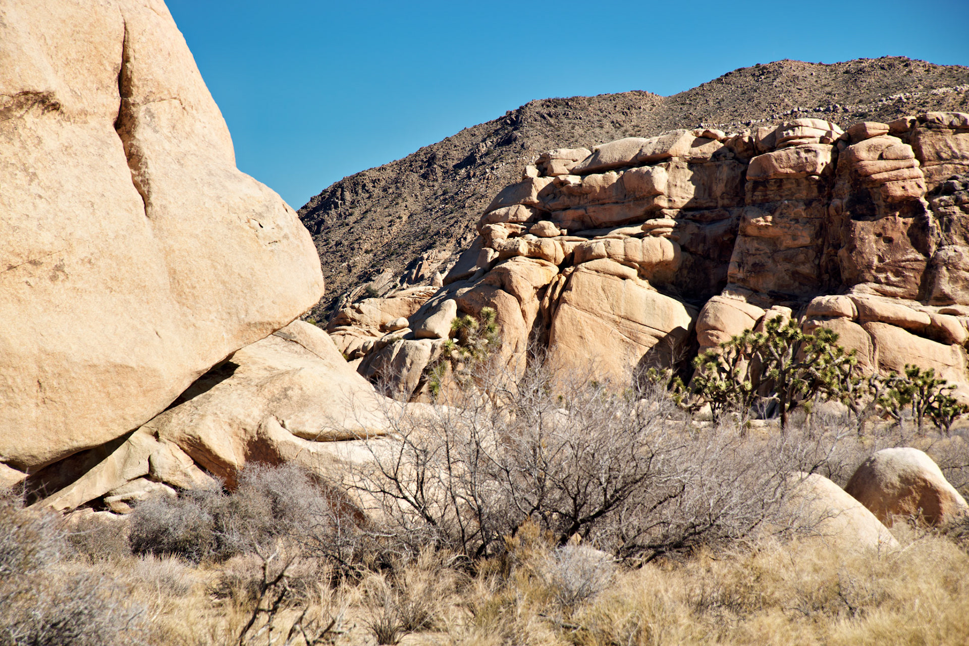 CA_PalmSprings_20090115_0216_PS