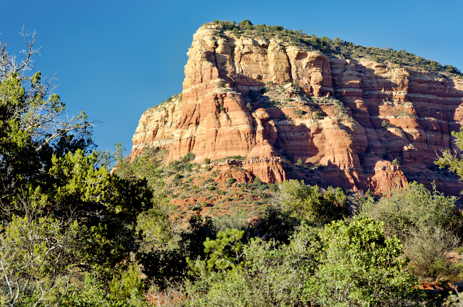 AZ_20060917_0121_PS.dng