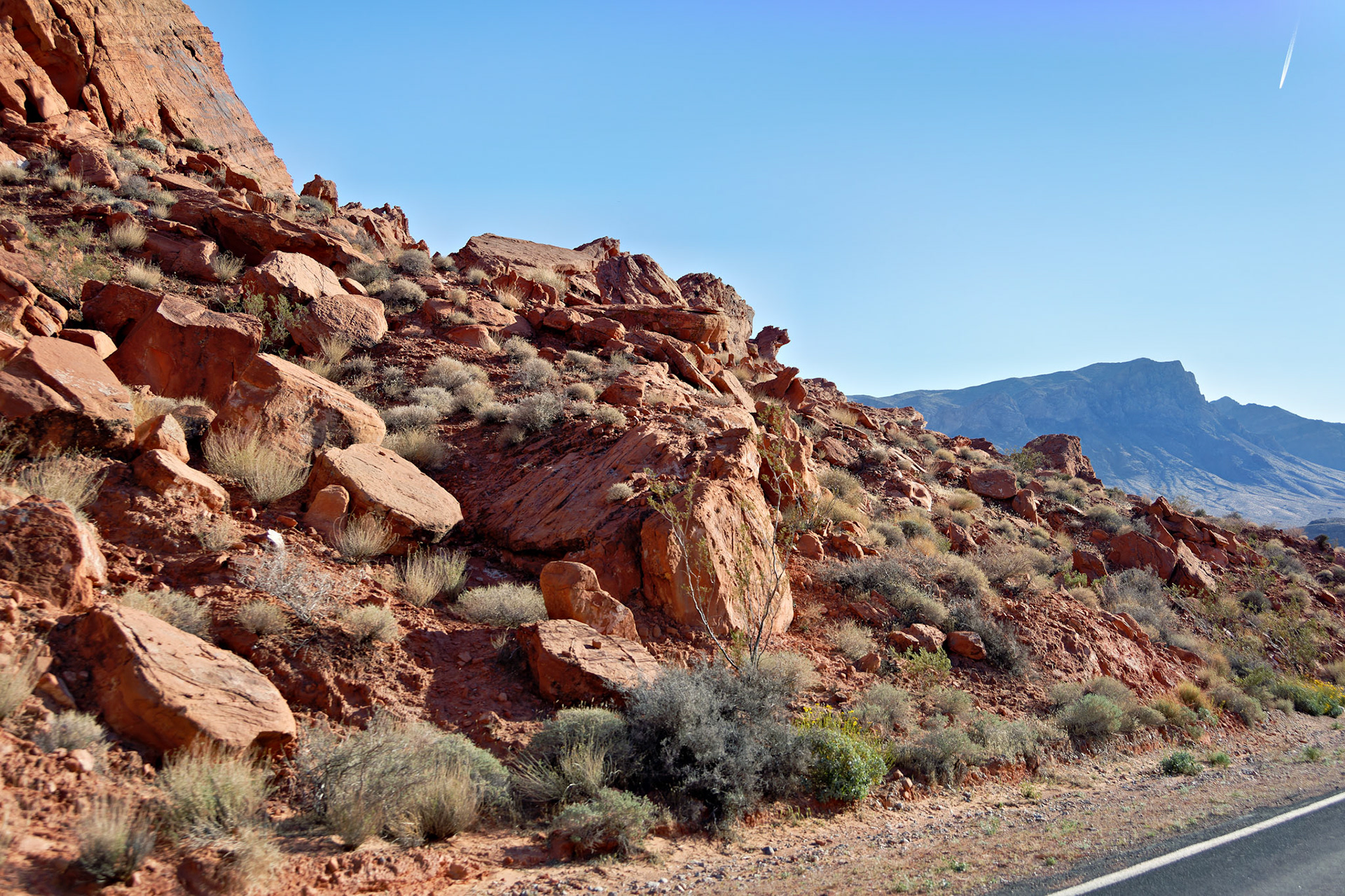 NV_Deserts_20120313_0256_PS