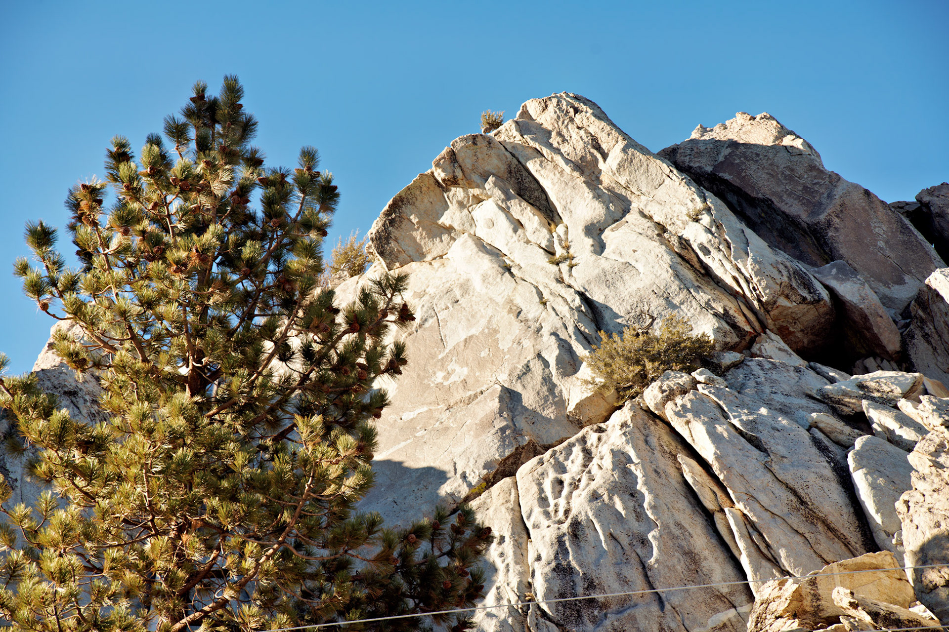 CA_PalmSprings_20111115_0343_PS