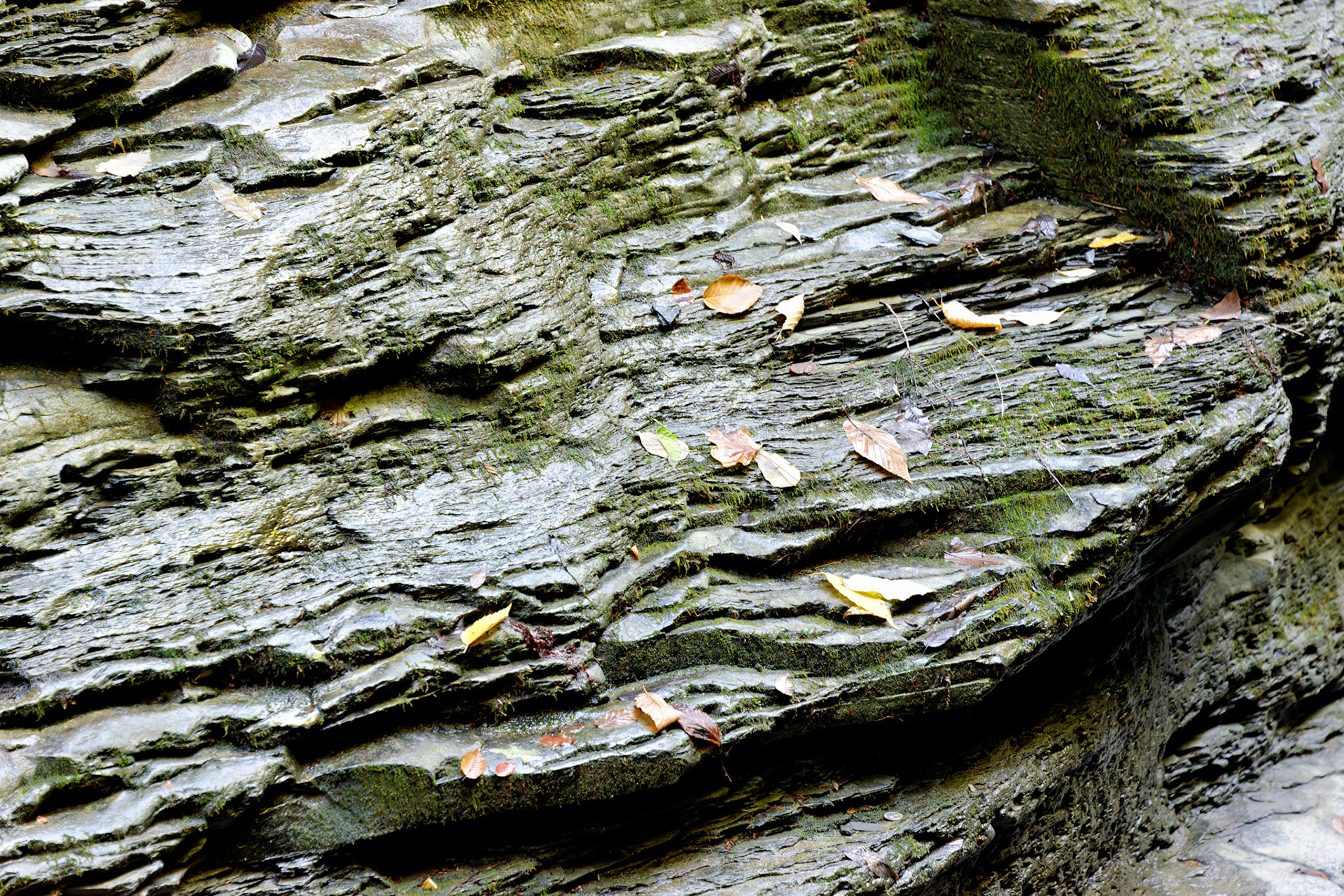 NY_FingerLakes_20120927_0213_PS.tif