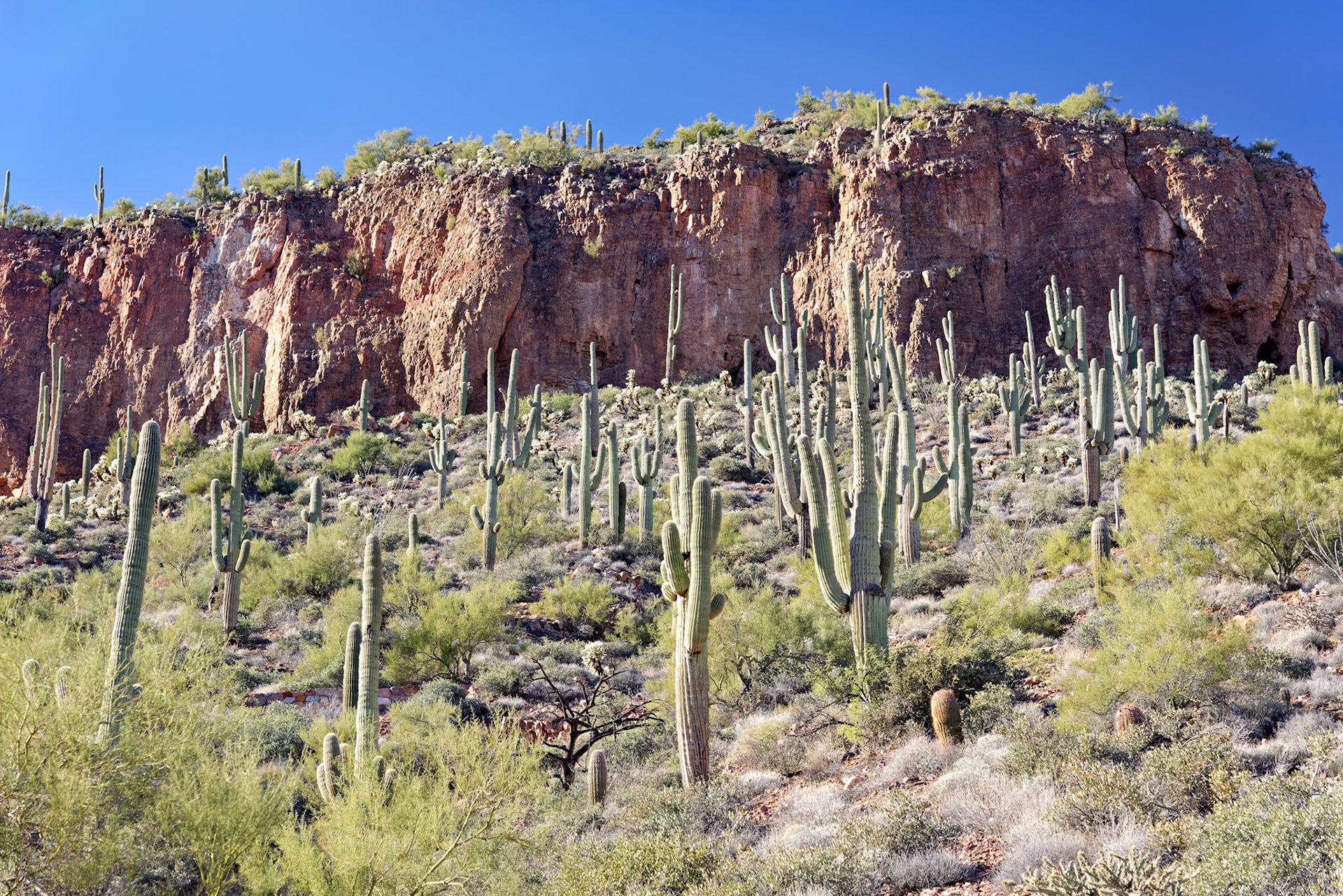 AZ_20121210_0402_PS.dng