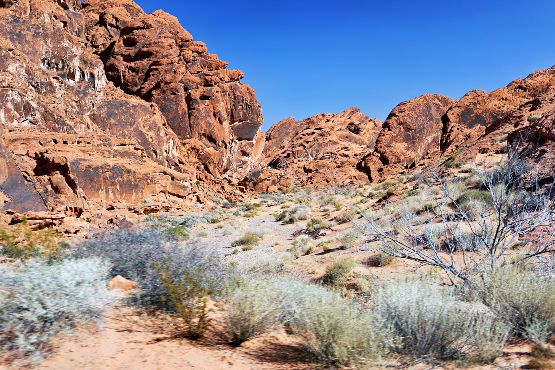 NV_Deserts_20120313_0189_PS.tif