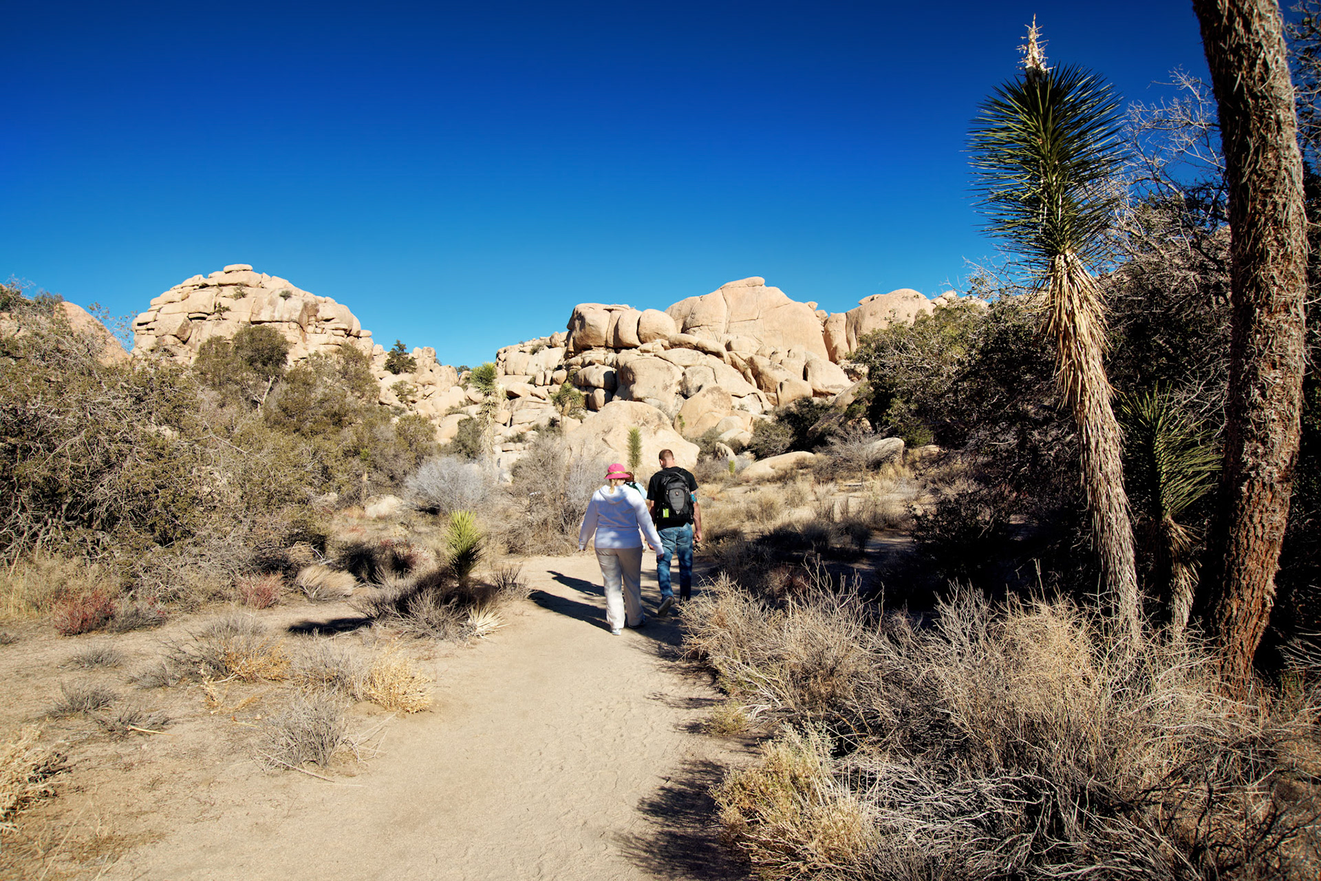 CA_PalmSprings_20090114_0189_PS