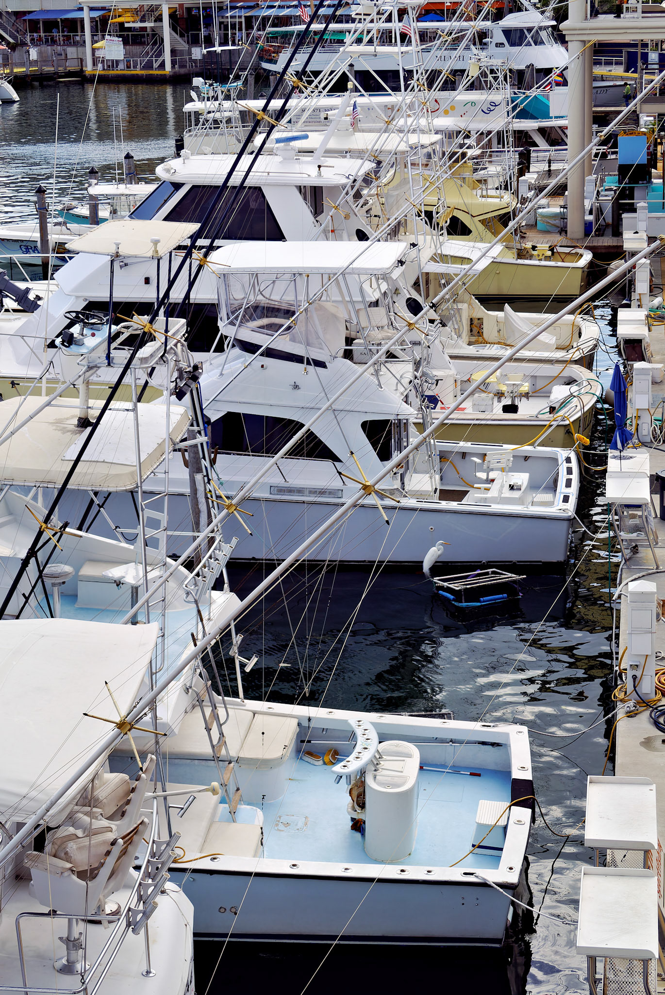 FL_Miami_20120214_0109_PS