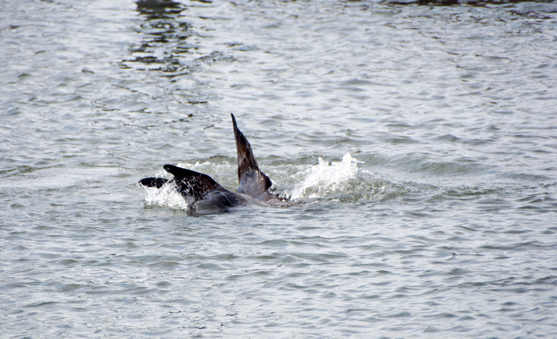 CA_SanFran_20071019_0179_PS