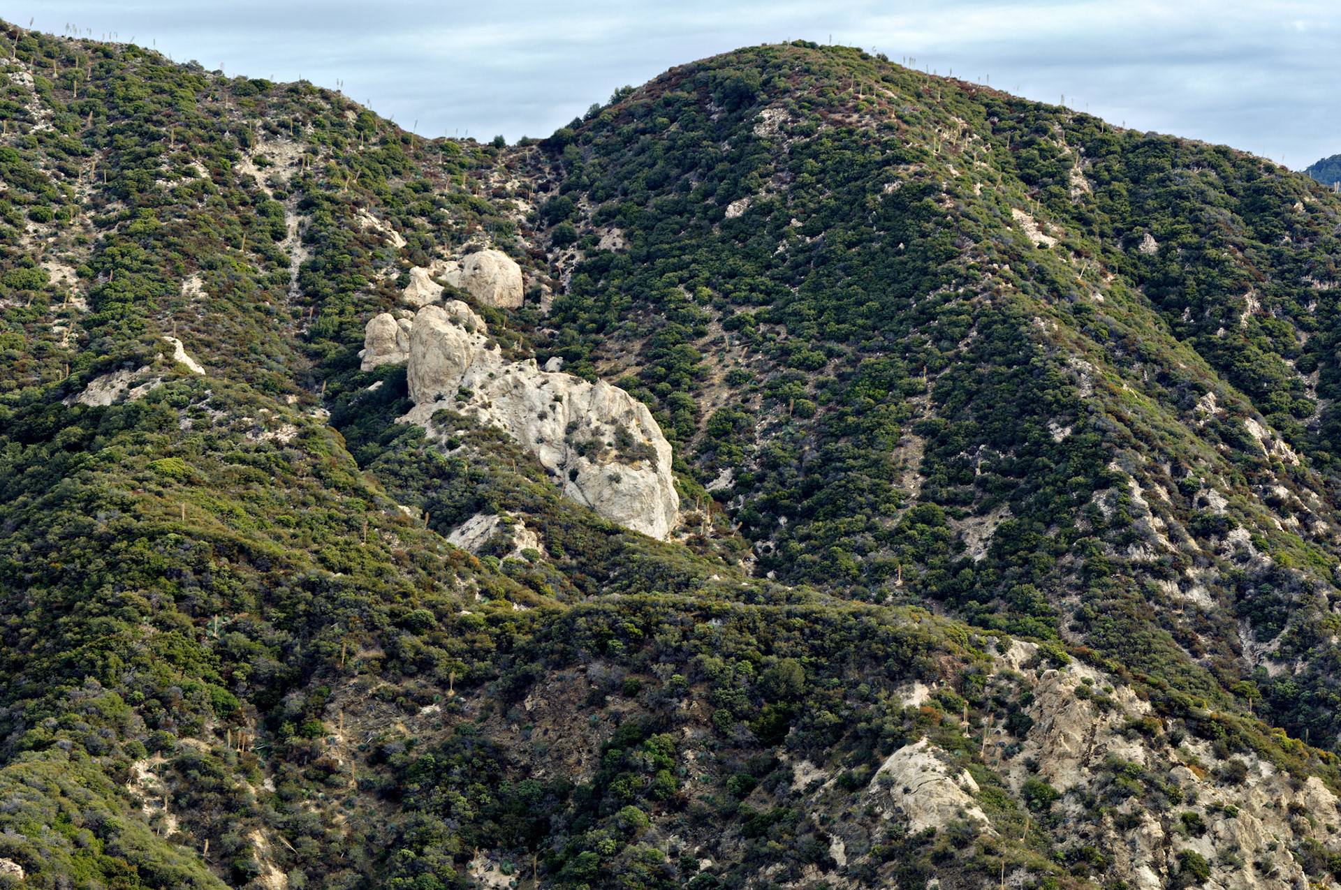 CA_LA_20051220_0243_PS