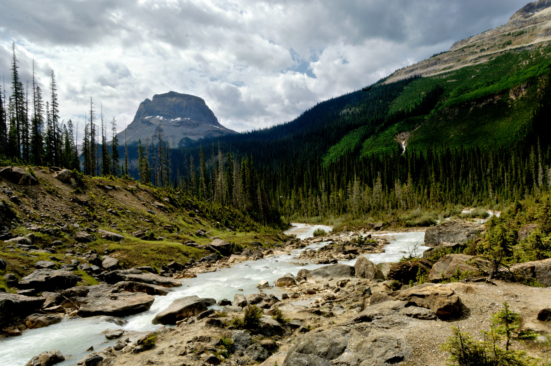 CN_20060803_0595_PS
