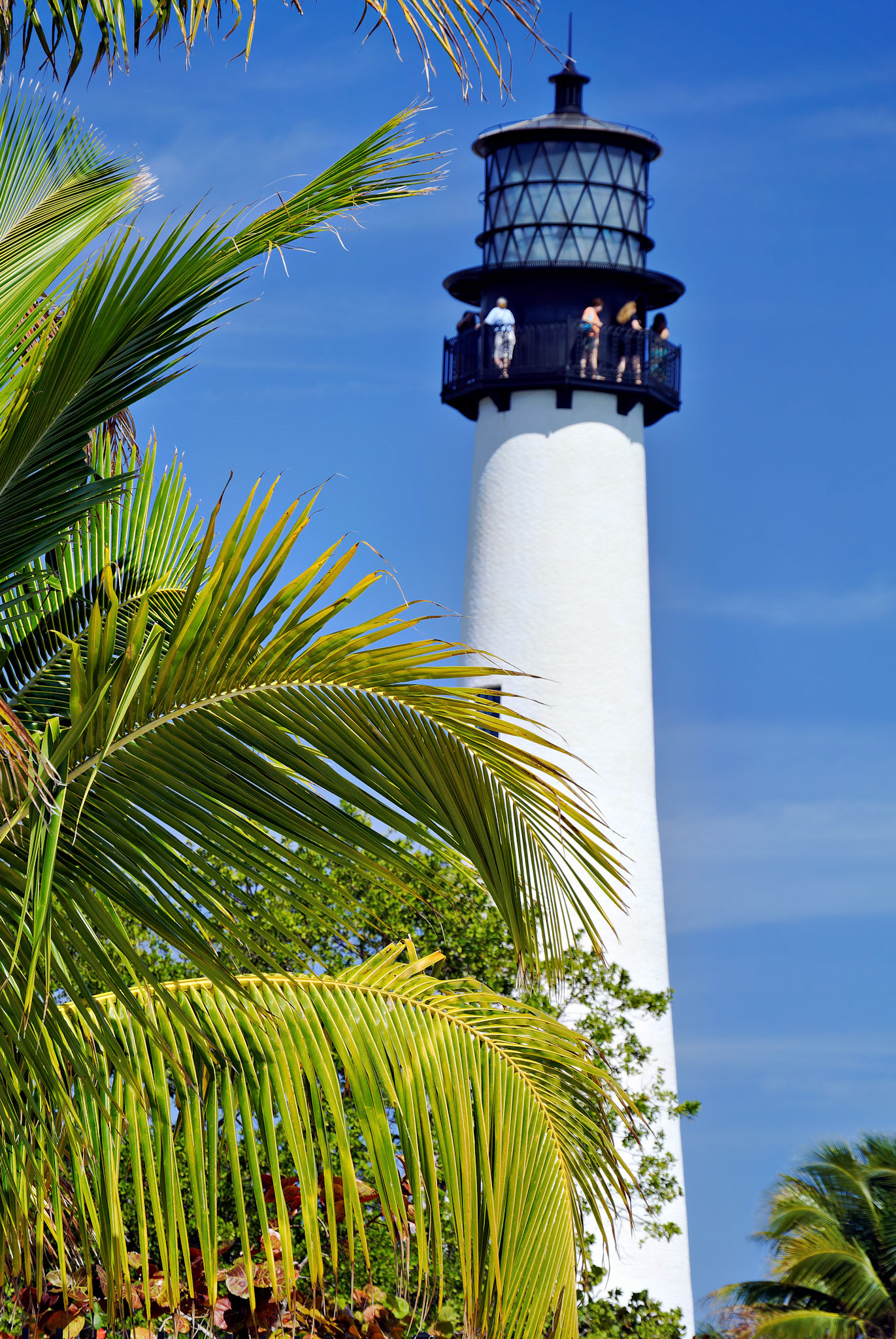 FL_Miami_20120217_0191_PS