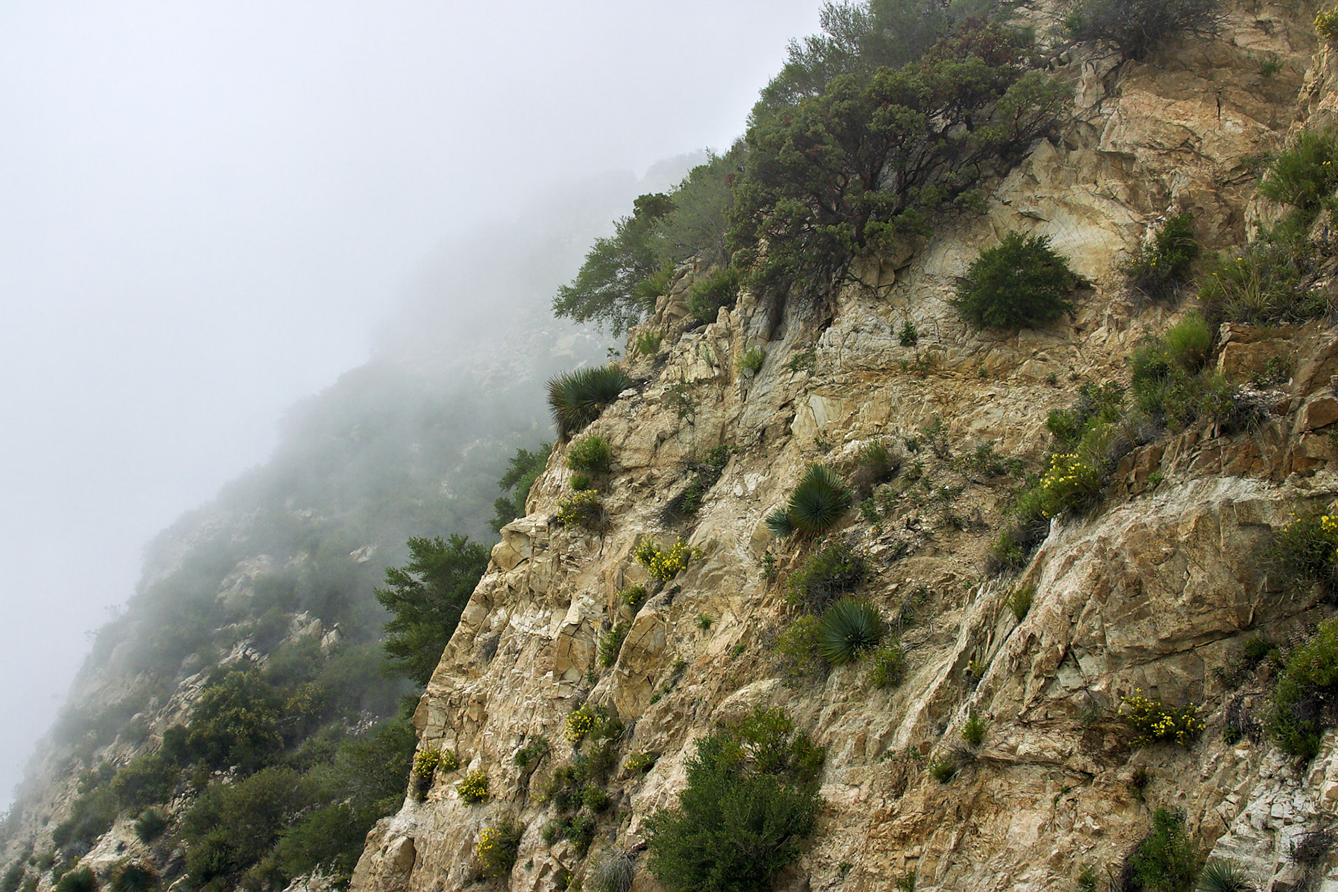 CA_LA_20030514_0021_PS.dng
