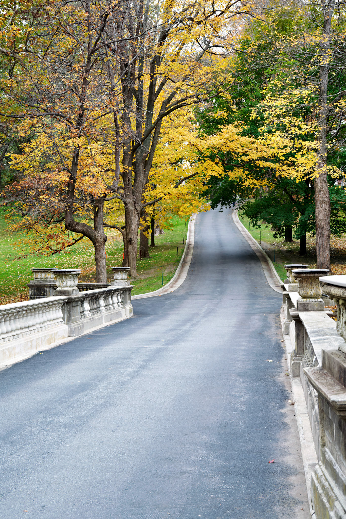 VT_20091023_0475_PS