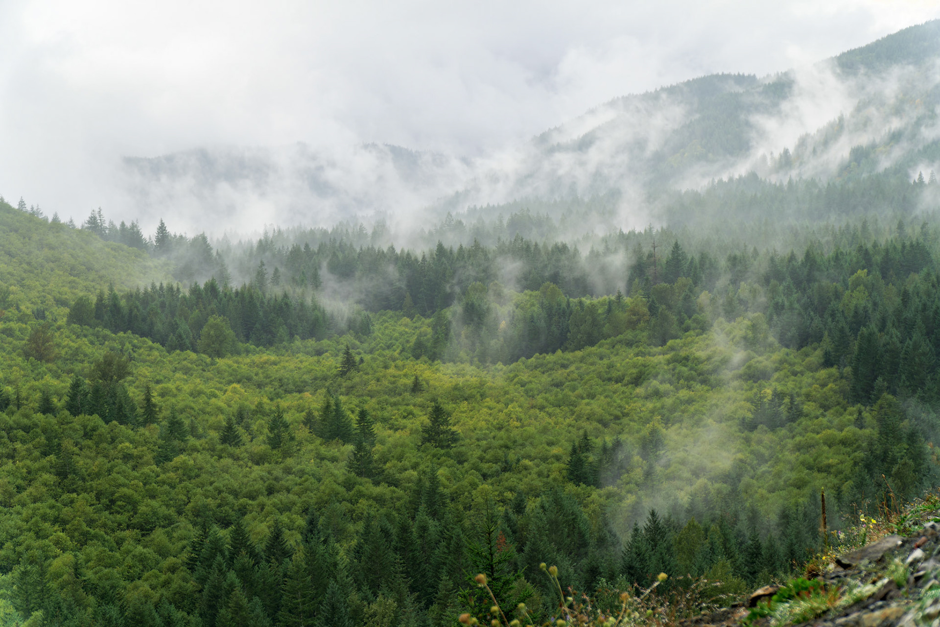 OR_MtHood_20160918_0012_PS