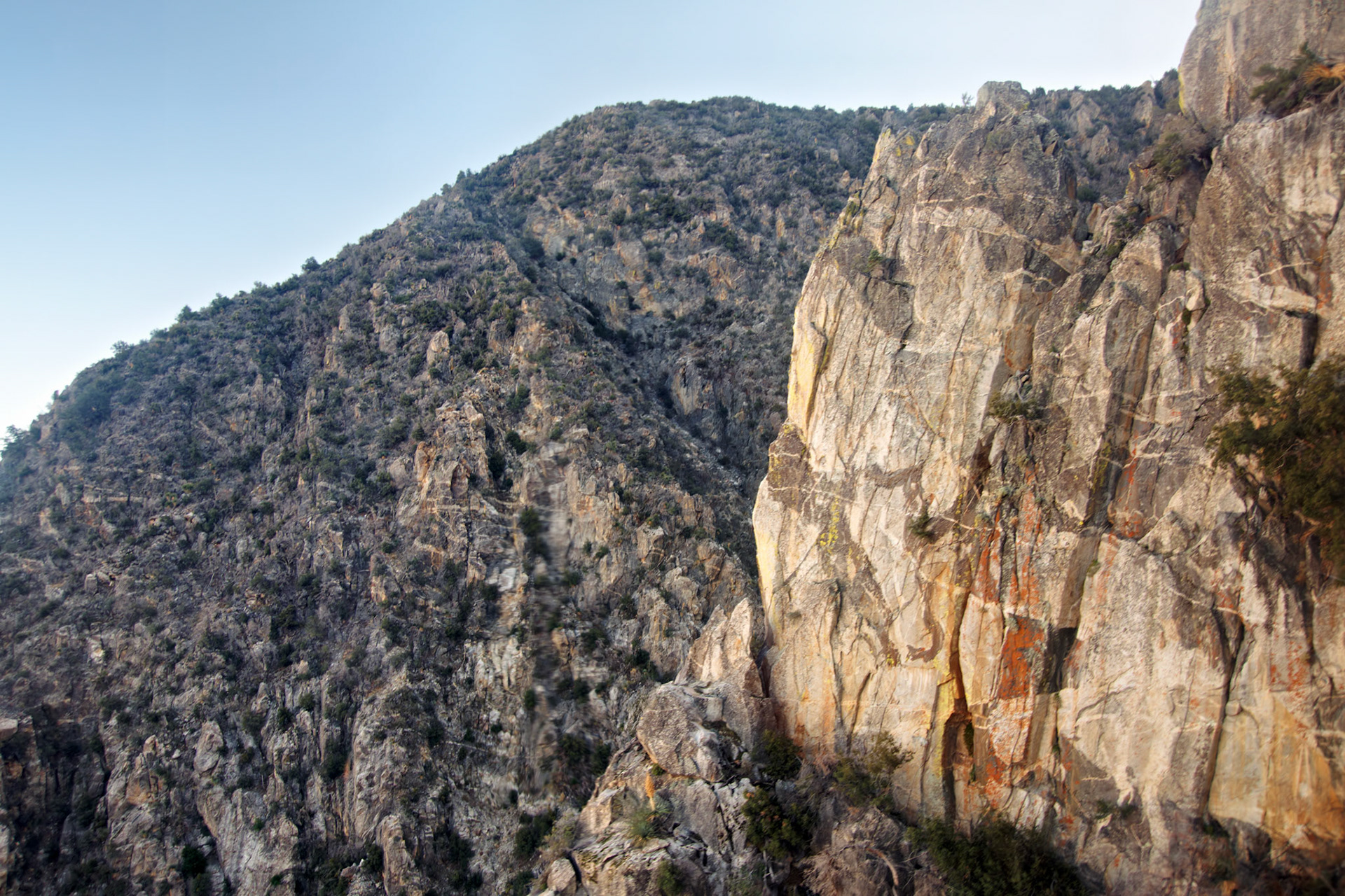 CA_PalmSprings_20111115_0325_PS