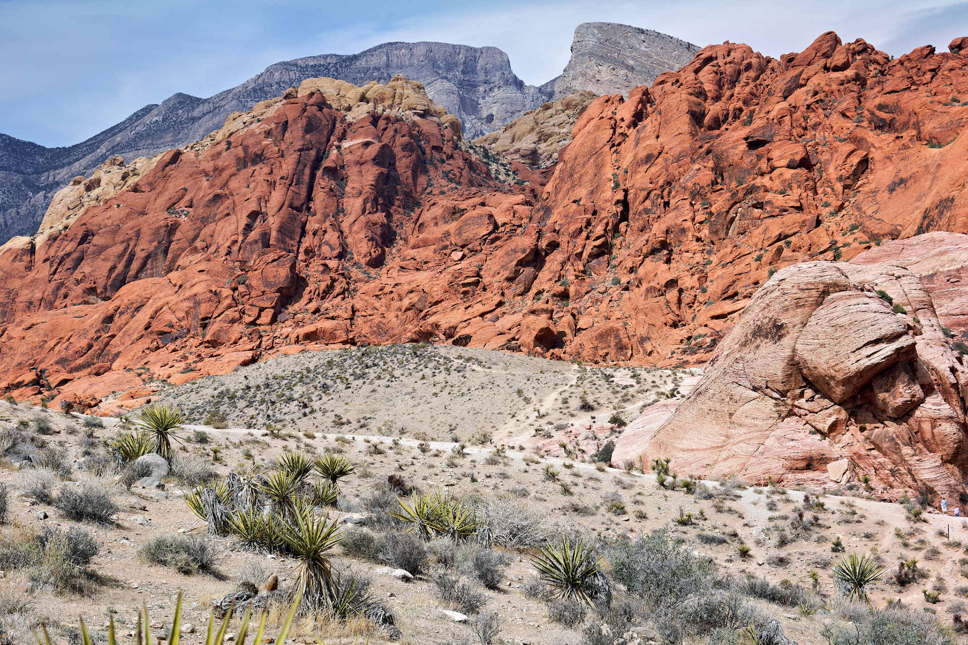 NV_Deserts_20120312_0035_PS.tif