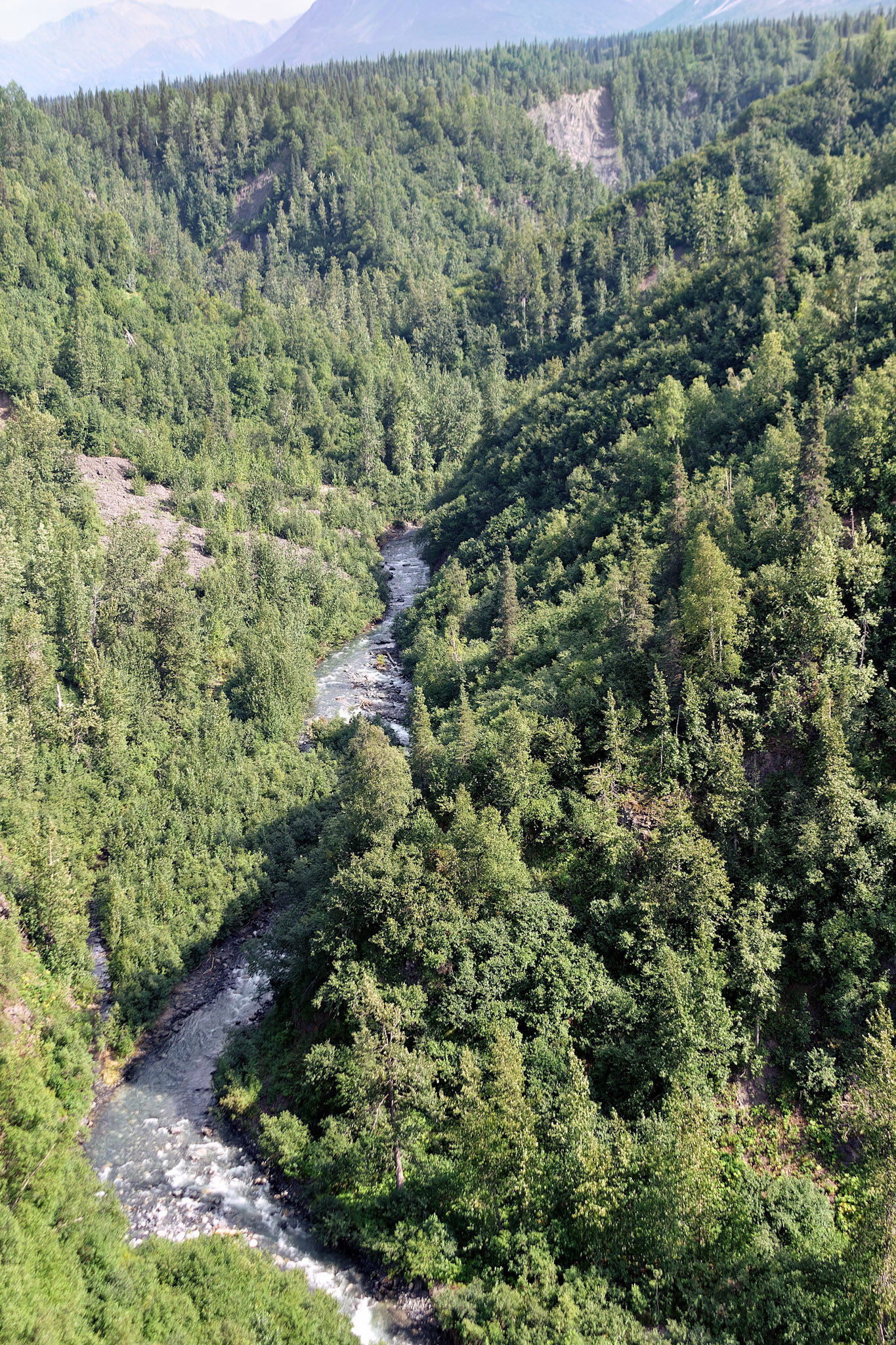 AK_20030807_0819_PS.dng