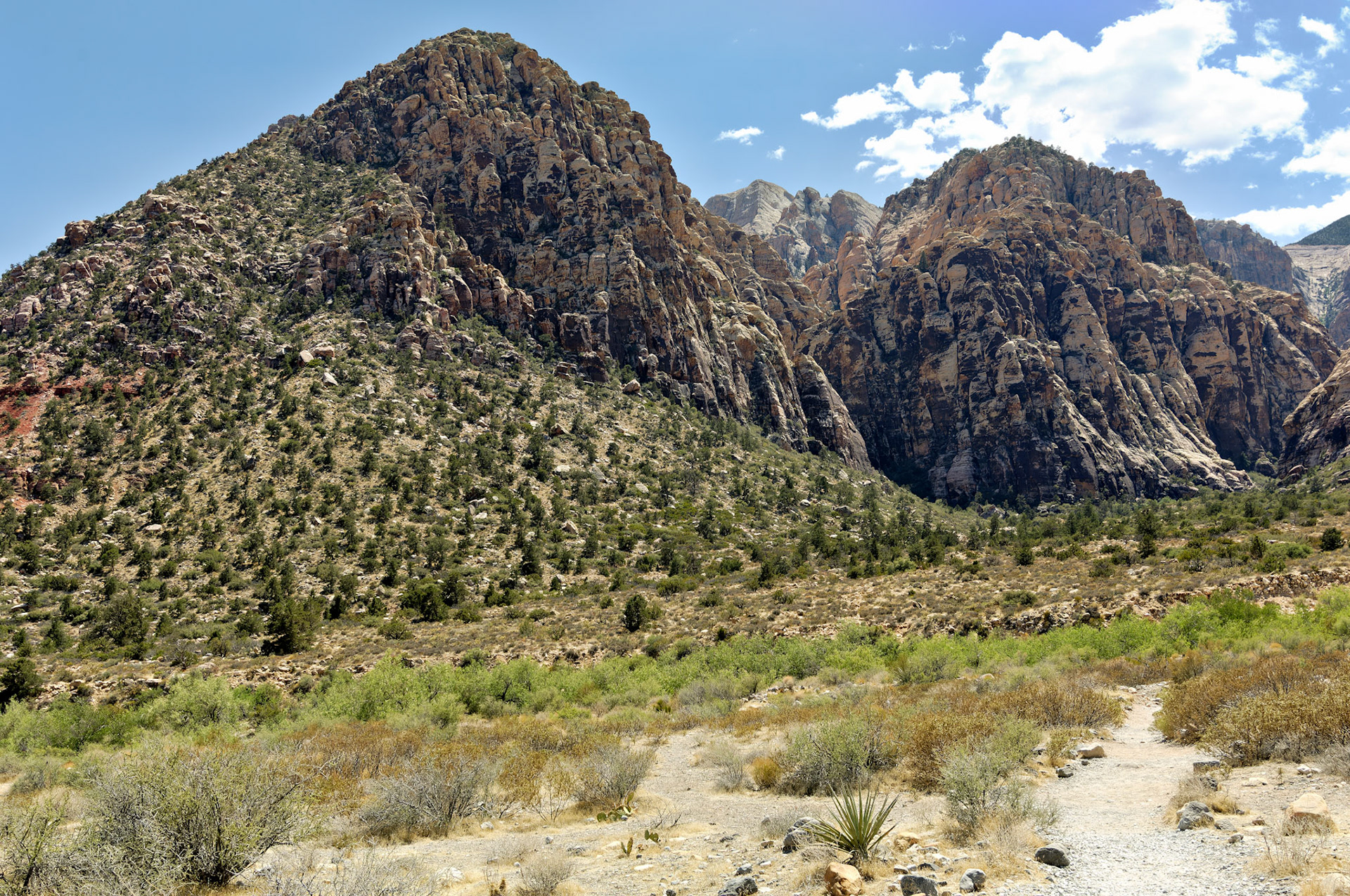 NV_20070531_0142_PS