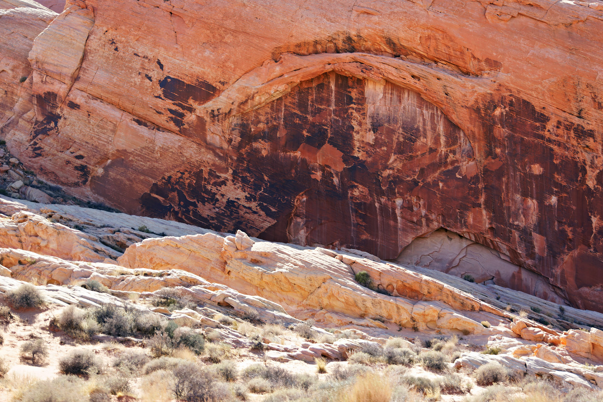 NV_Deserts_20120313_0184_PS.tif