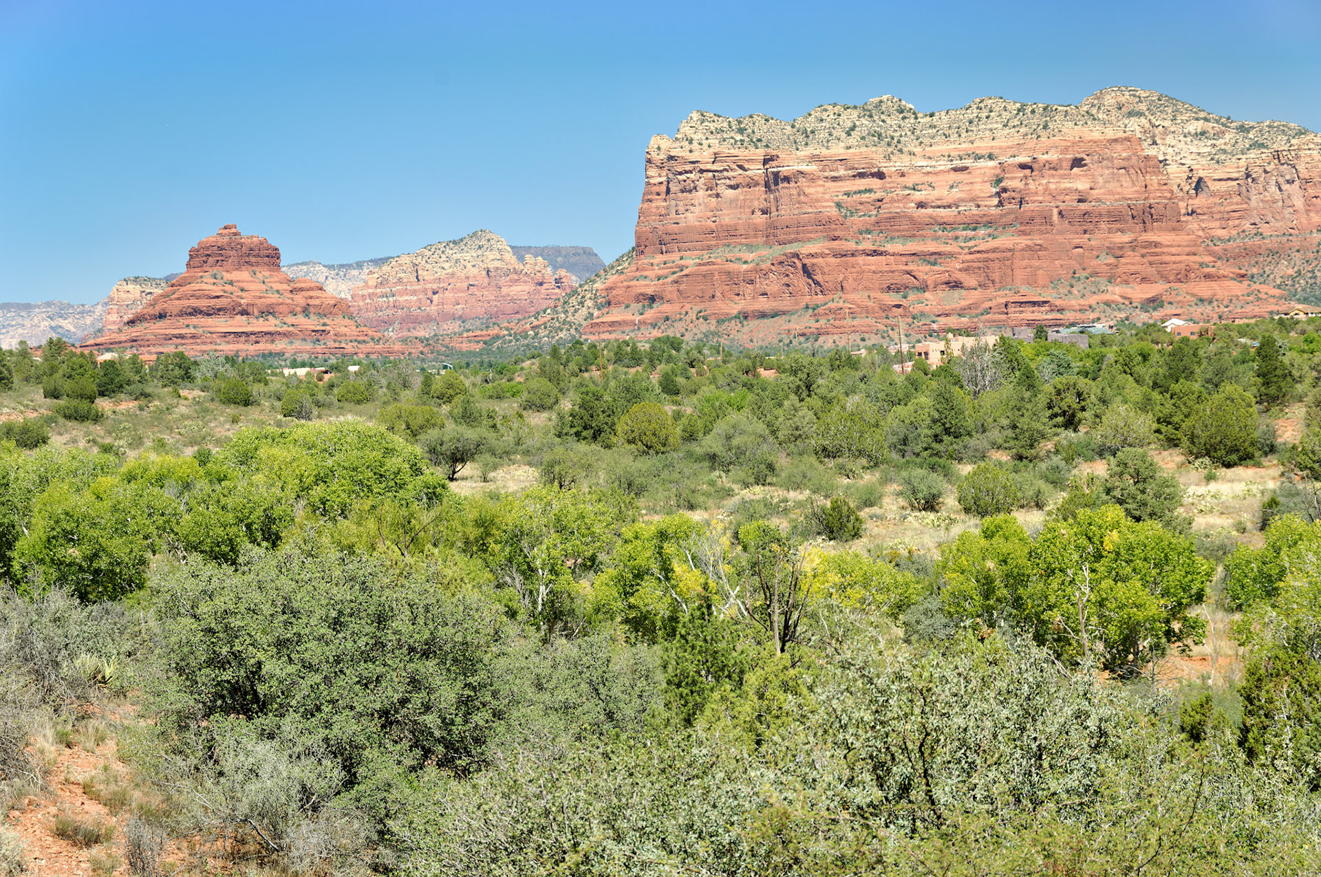 AZ_20060917_0063_PS.dng