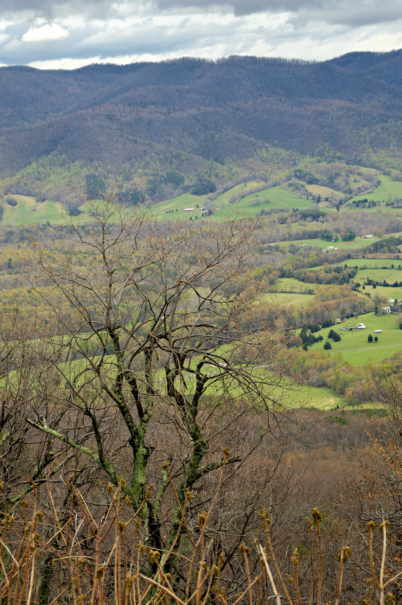 VA_BlueRidge_20070415_0149_PS