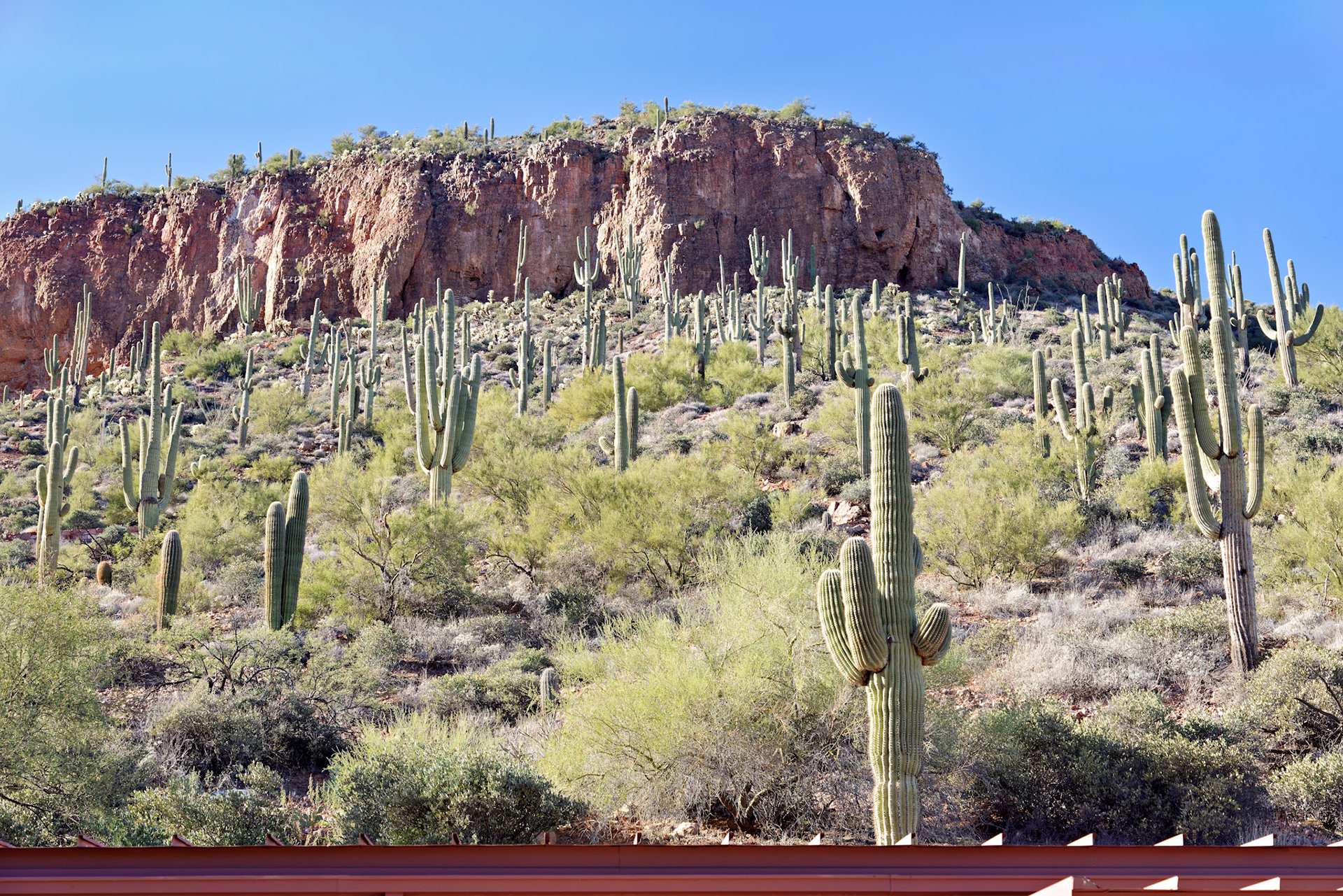 AZ_20121210_0399_PS