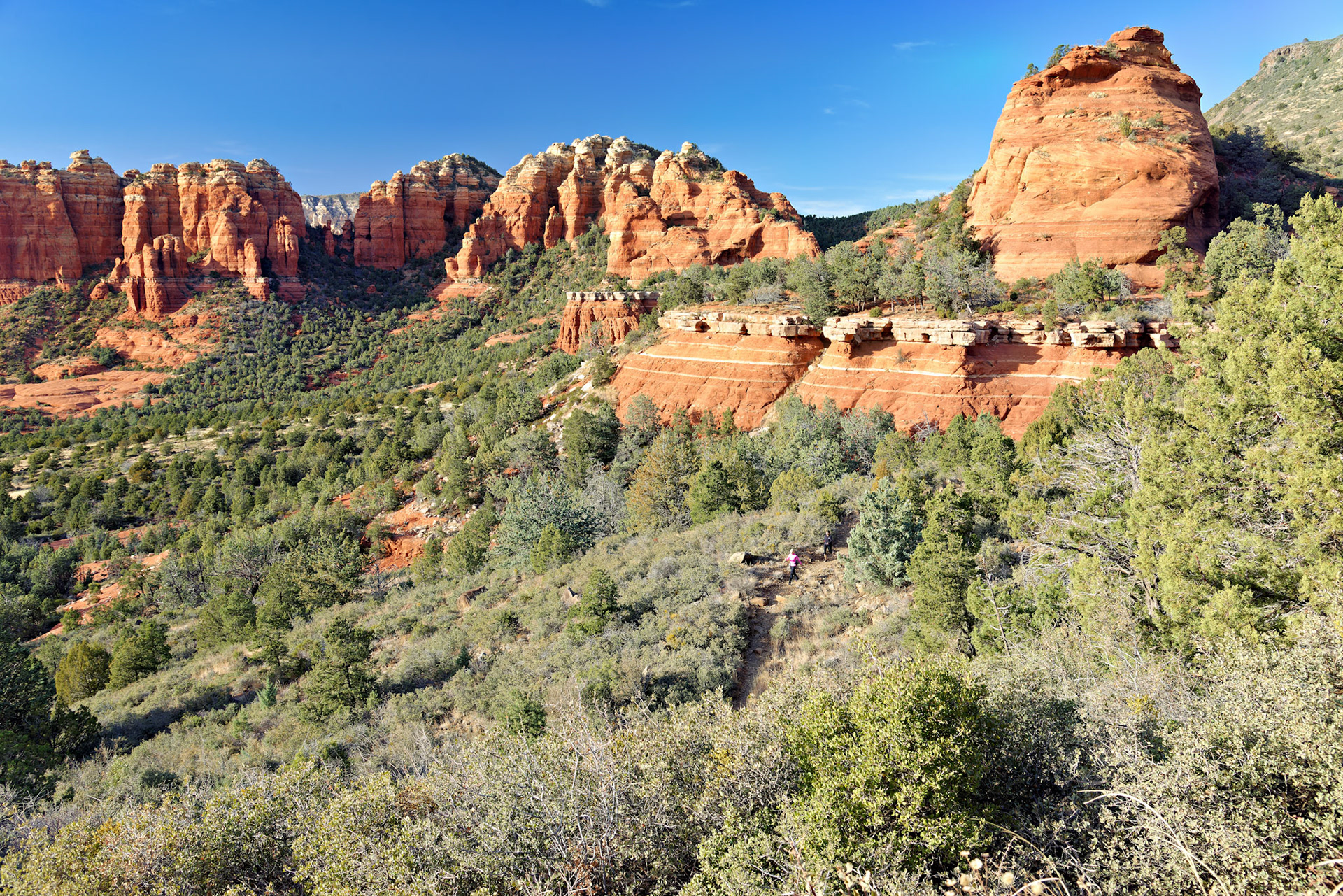 AZ_20121211_0568_PS