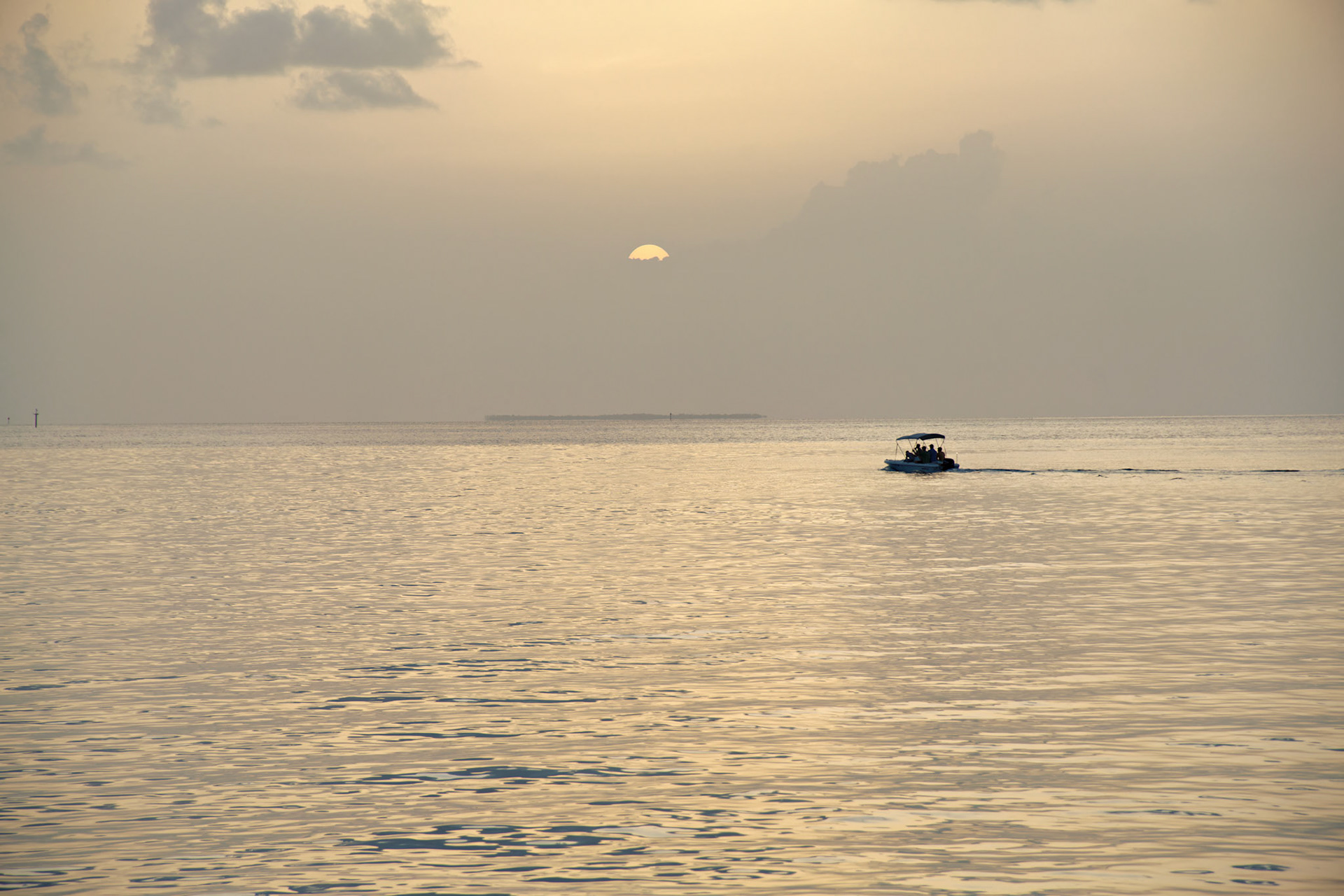 SONY DSC