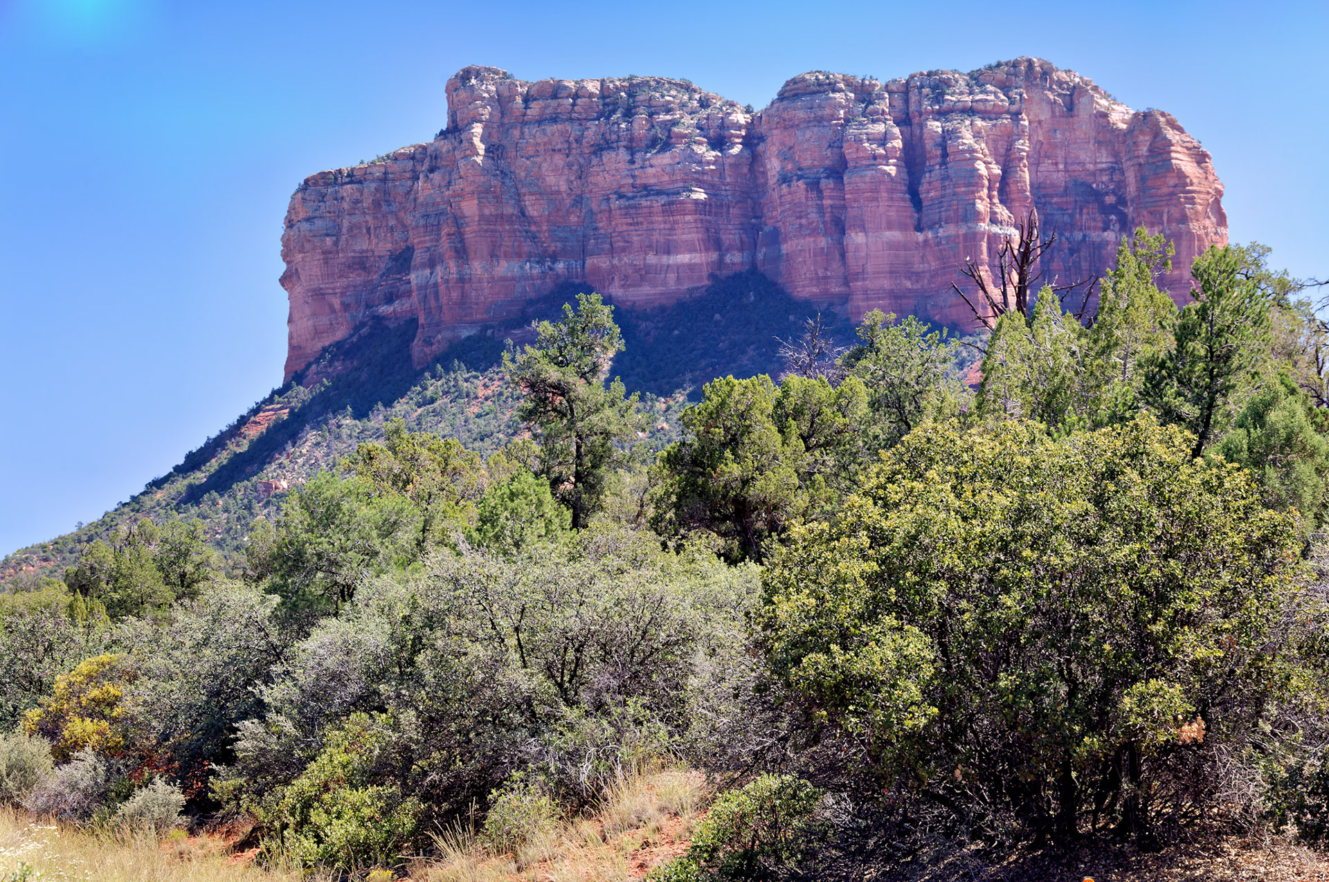 AZ_20060917_0084_PS