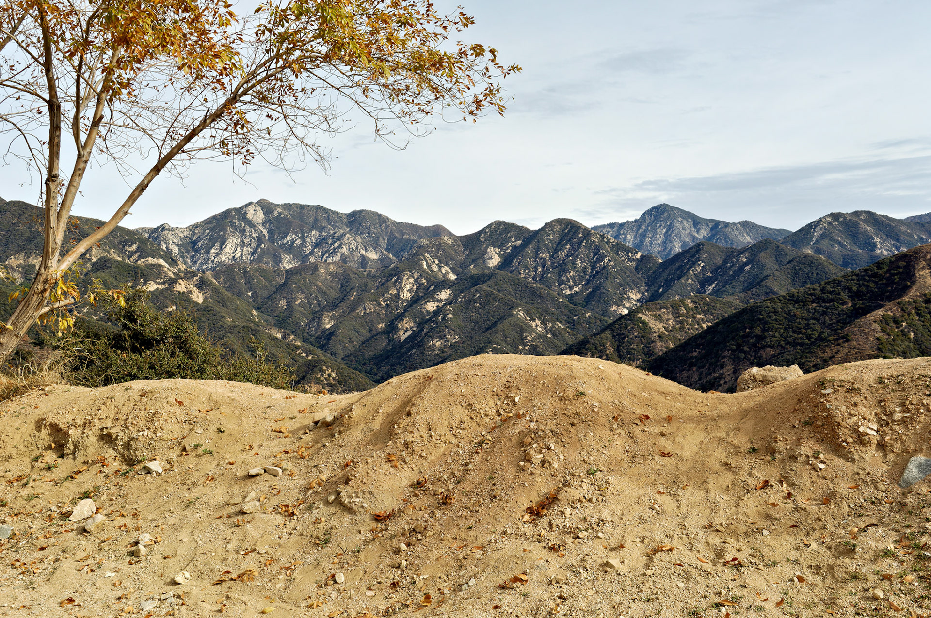 CA_LA_20051220_0219_PS